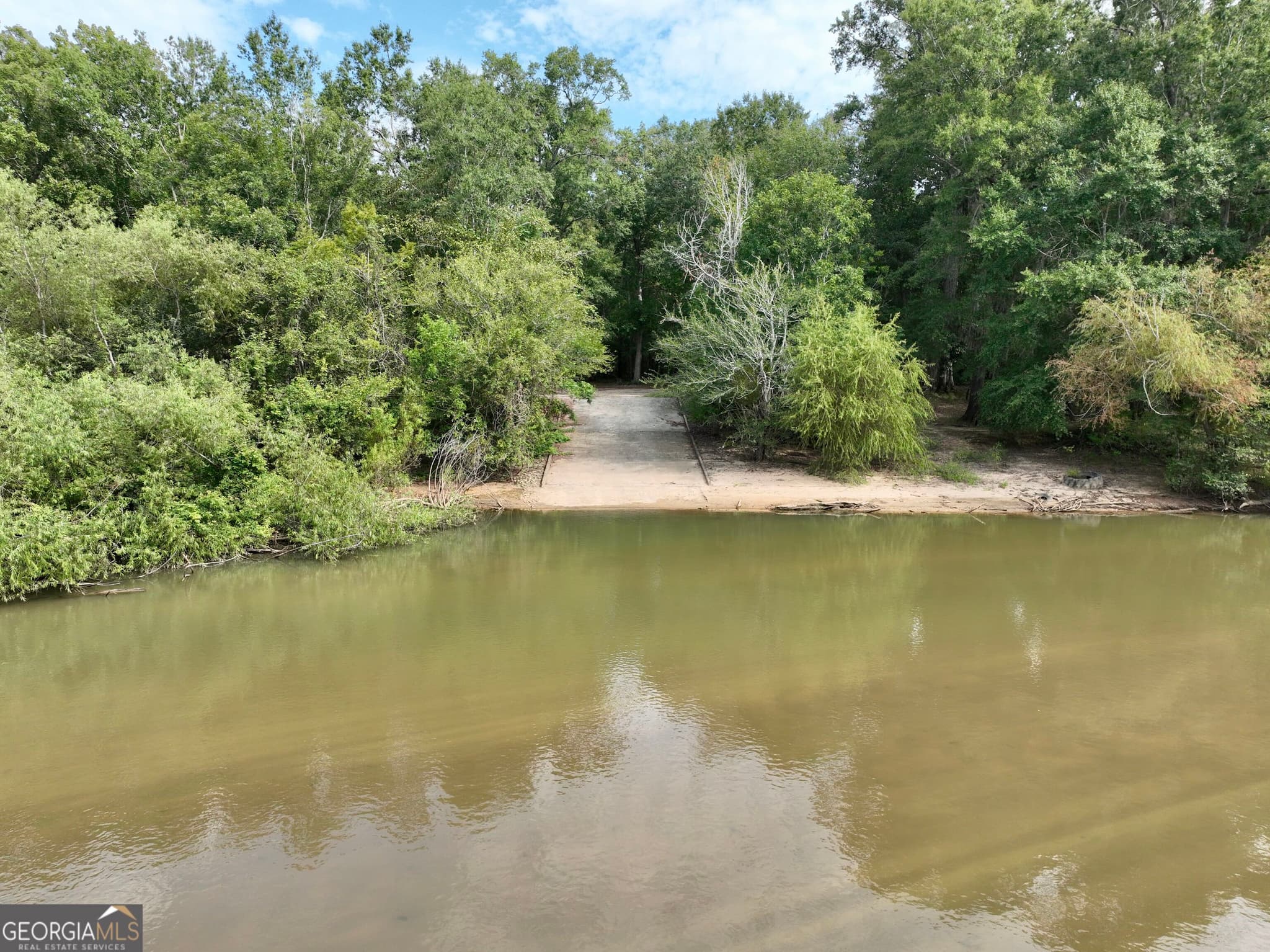 agriculture for sale at 0 S. Ocmulgee Boulevard, Jacksonville, GA 31544 — photo 2