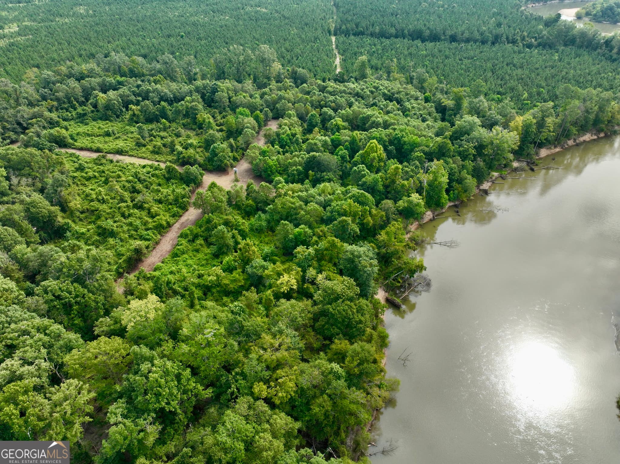 agriculture for sale at 0 S. Ocmulgee Boulevard, Jacksonville, GA 31544 — photo 6
