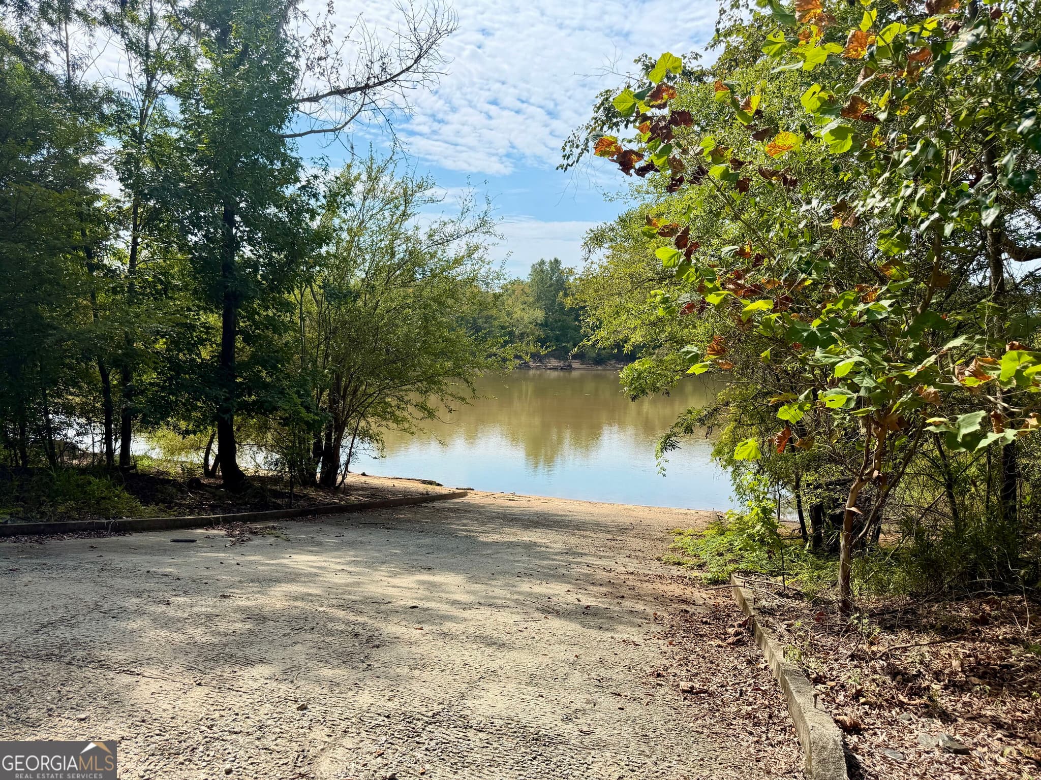 agriculture for sale at 0 S. Ocmulgee Boulevard, Jacksonville, GA 31544 — photo 7