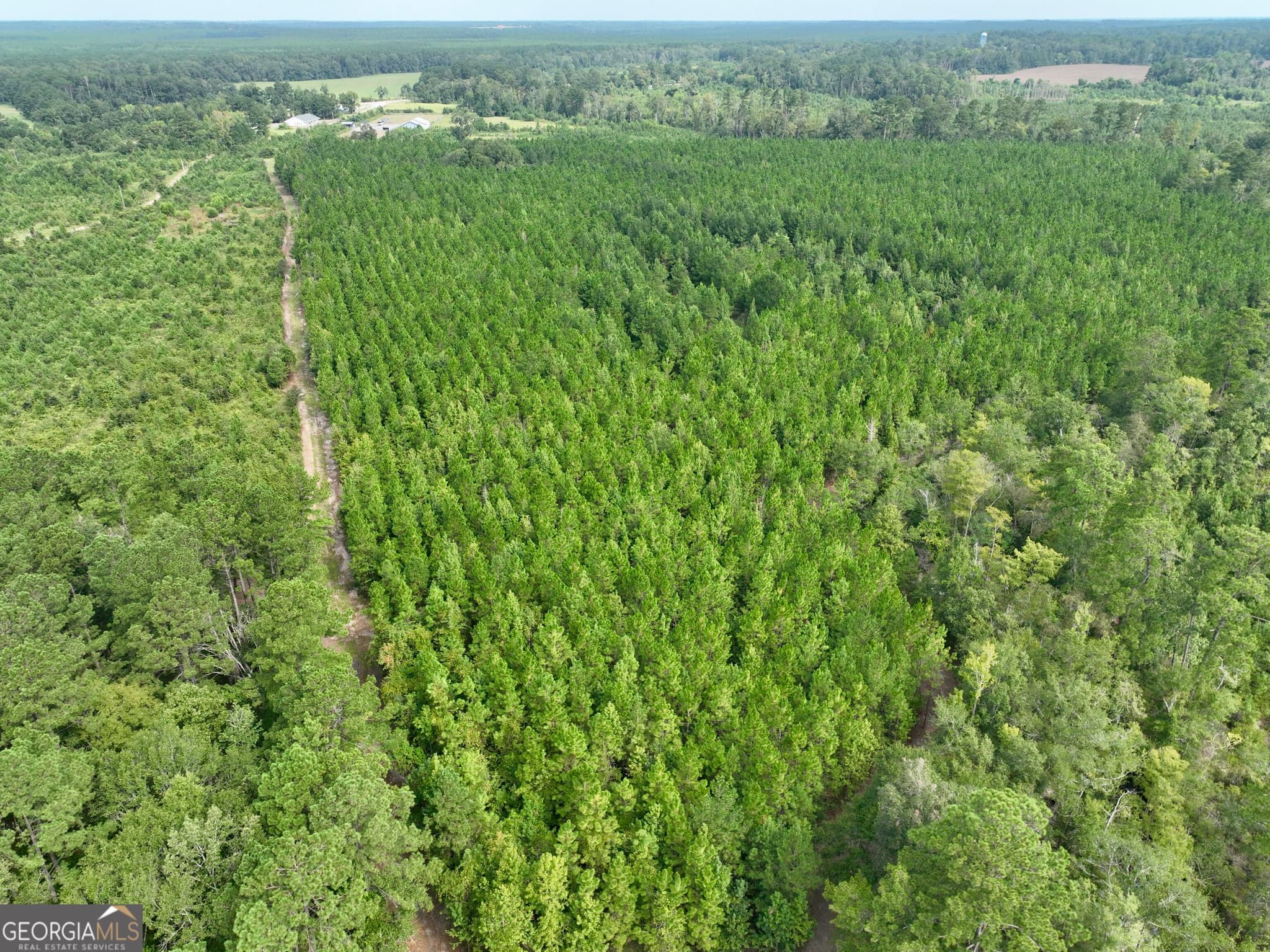 agriculture for sale at 0 S. Ocmulgee Boulevard, Jacksonville, GA 31544 — photo 3