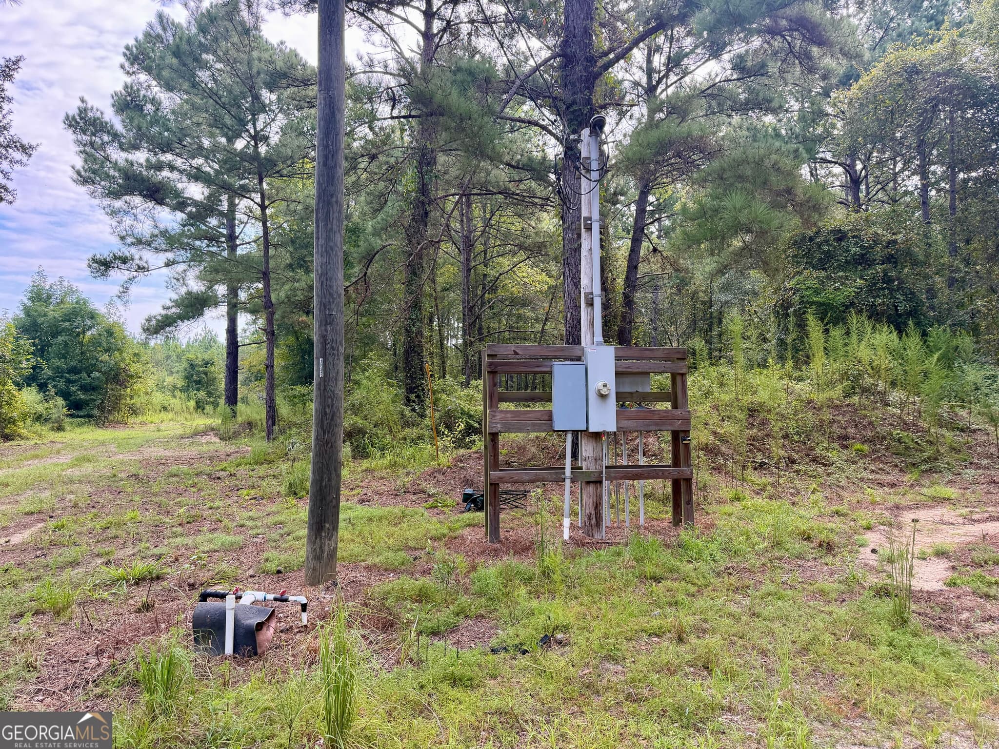 agriculture for sale at 0 S. Ocmulgee Boulevard, Jacksonville, GA 31544 — photo 10