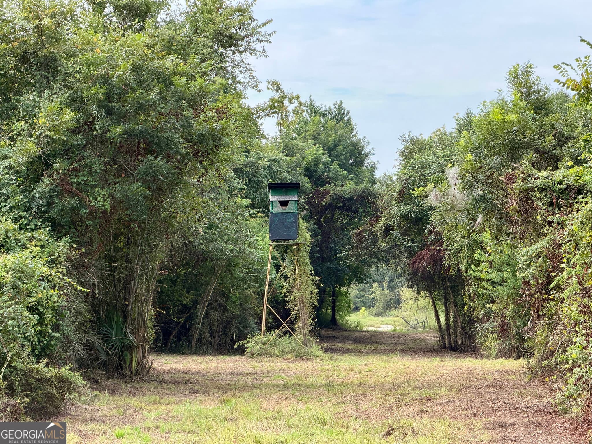 agriculture for sale at 0 S. Ocmulgee Boulevard, Jacksonville, GA 31544 — photo 4
