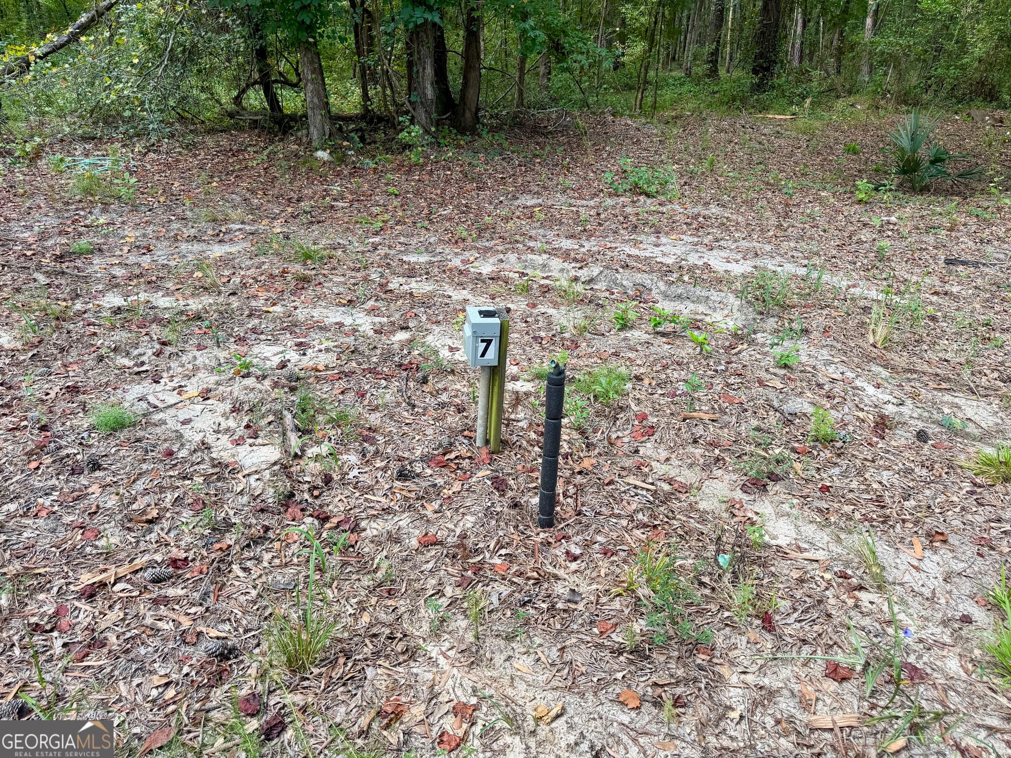 agriculture for sale at 0 S. Ocmulgee Boulevard, Jacksonville, GA 31544 — photo 8