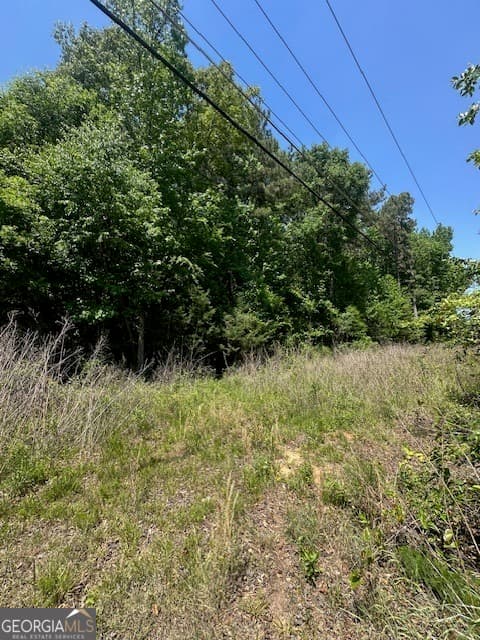 residential lot for sale at 0 Mize Road, Commerce, GA 30529 — photo 3