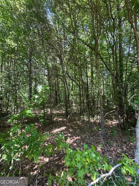 residential lot for sale at 0 Mize Road, Commerce, GA 30529 — photo 1 of 4