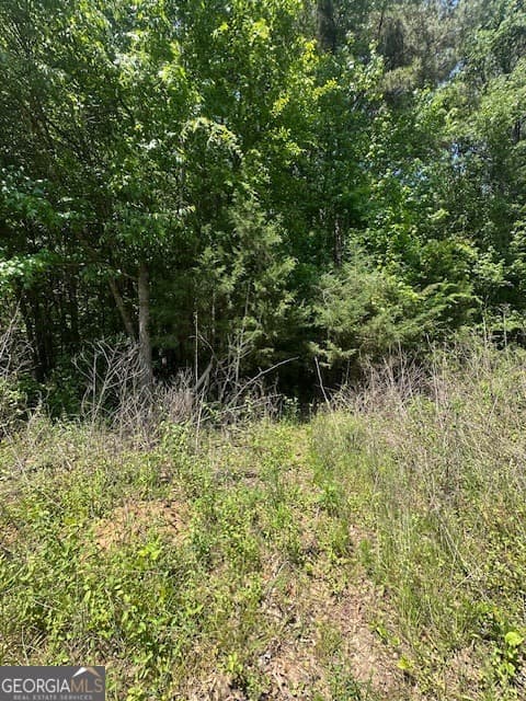 residential lot for sale at 0 Mize Road, Commerce, GA 30529 — photo 4
