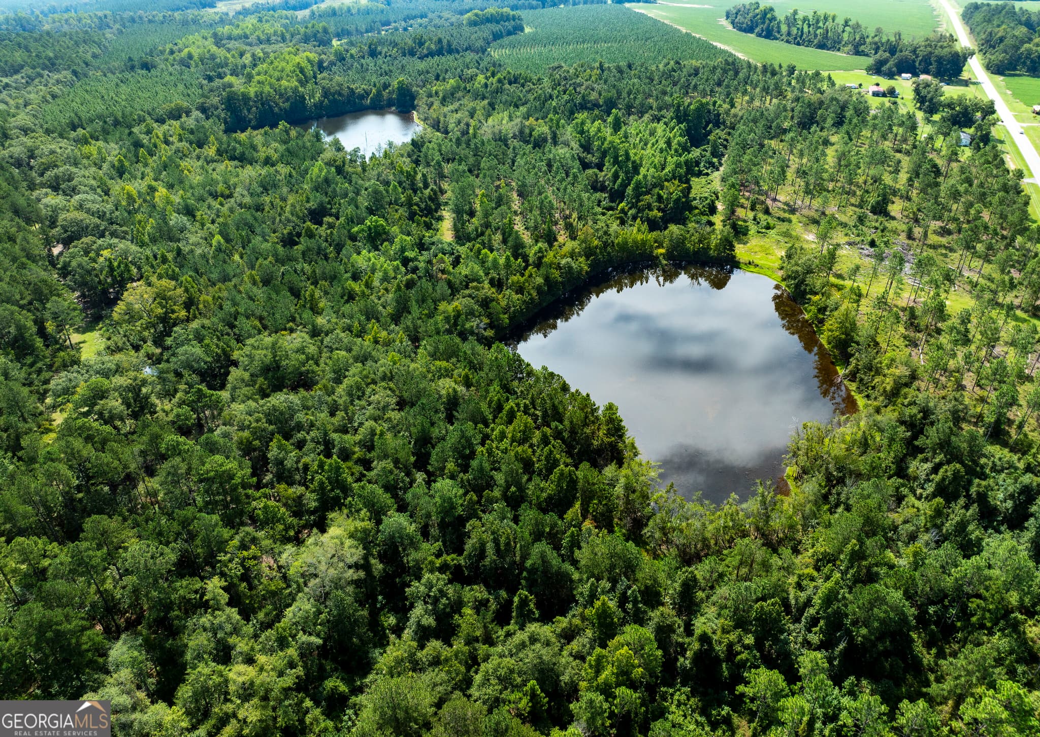 agriculture for sale at 21201 N Hwy 23, Metter, GA 30439 — photo 6