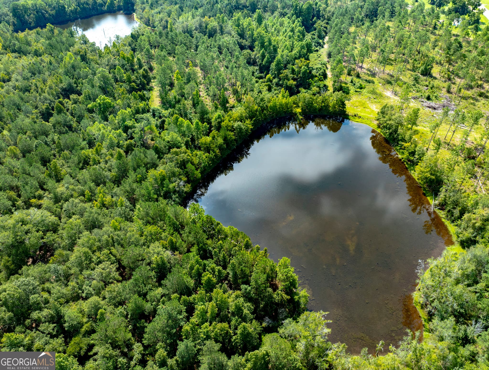 agriculture for sale at 21201 N Hwy 23, Metter, GA 30439 — photo 7