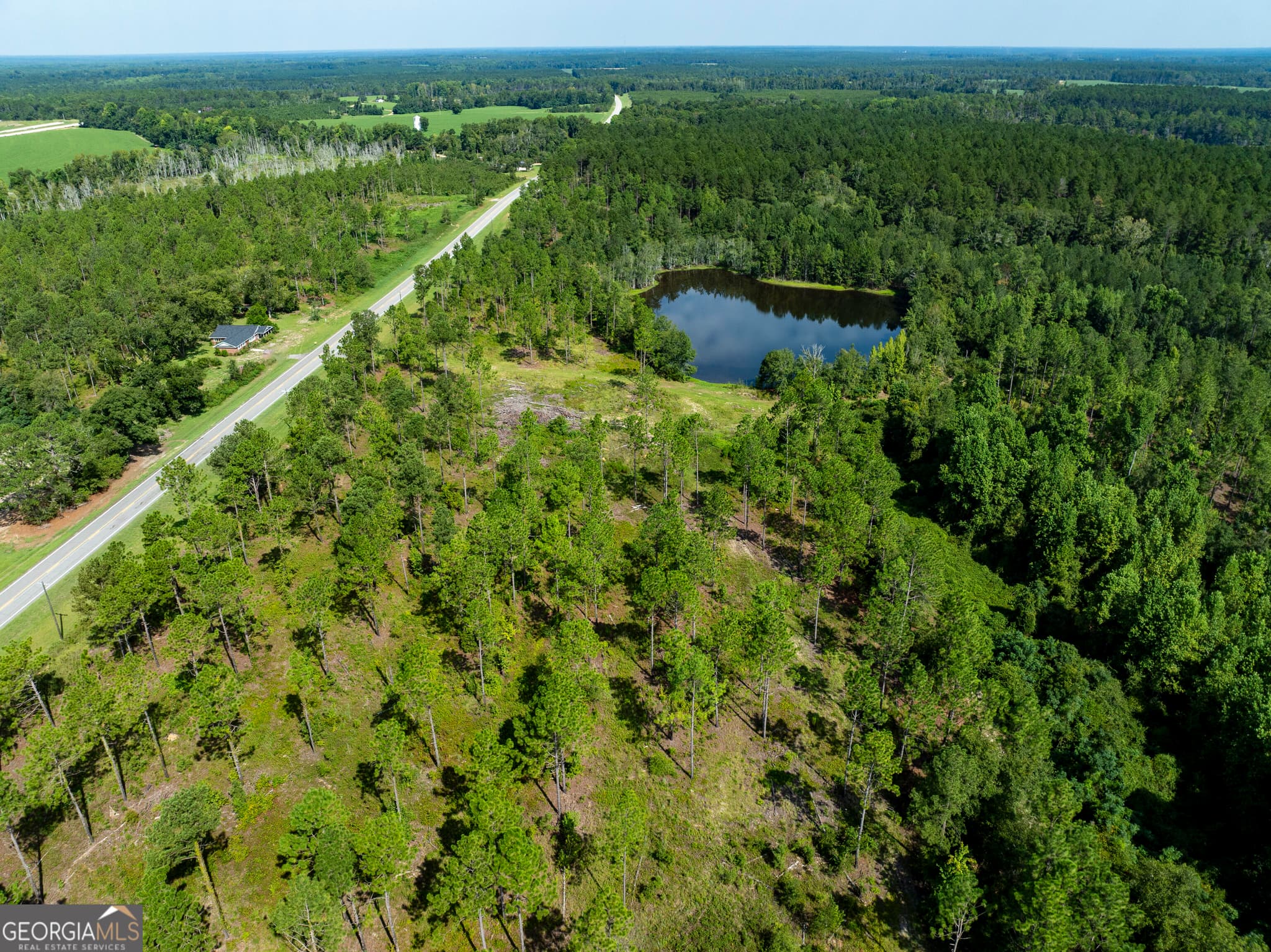 agriculture for sale at 21201 N Hwy 23, Metter, GA 30439 — photo 3