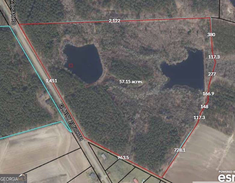 agriculture for sale at 21201 N Hwy 23, Metter, GA 30439