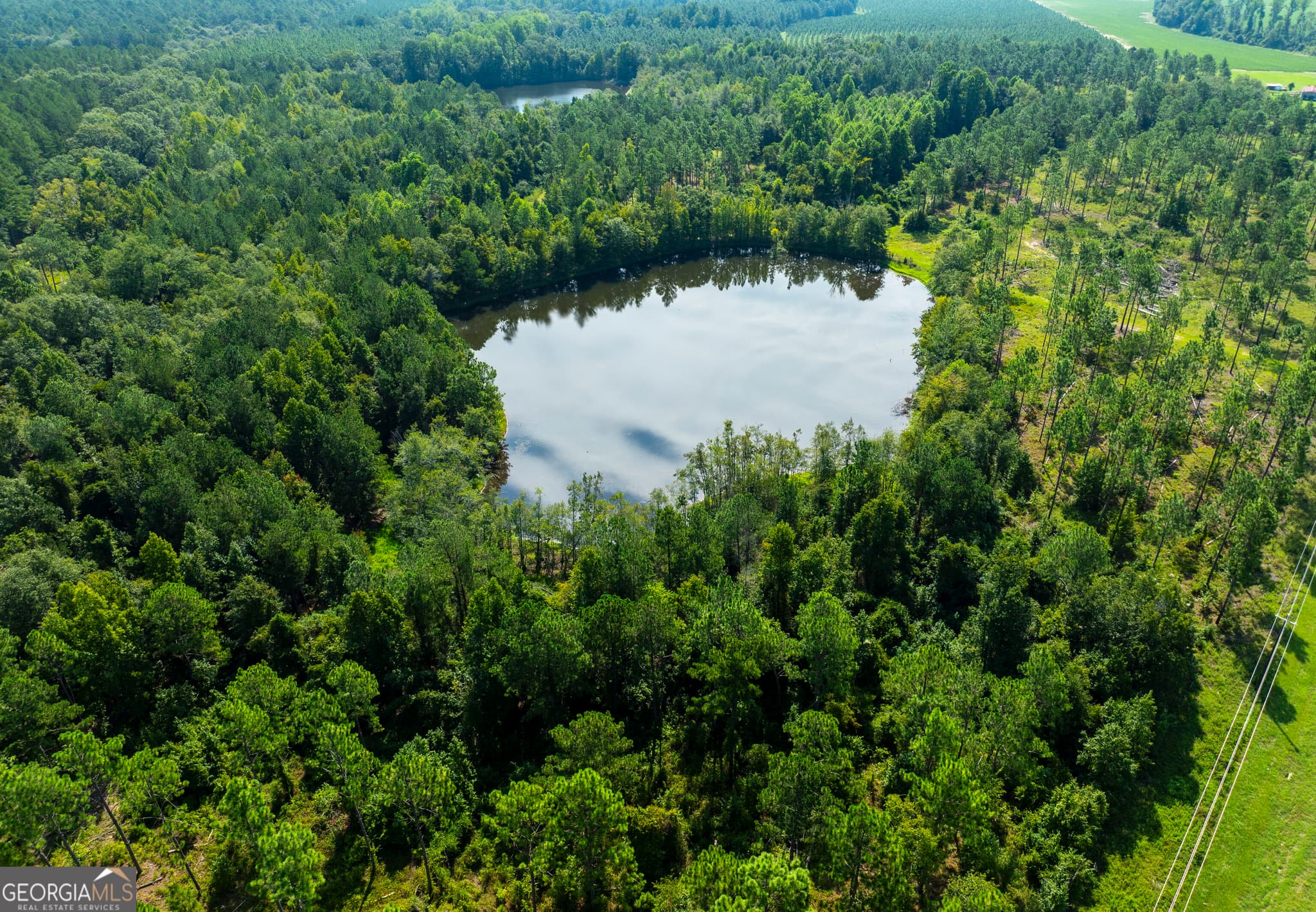 agriculture for sale at 21201 N Hwy 23, Metter, GA 30439 — photo 5