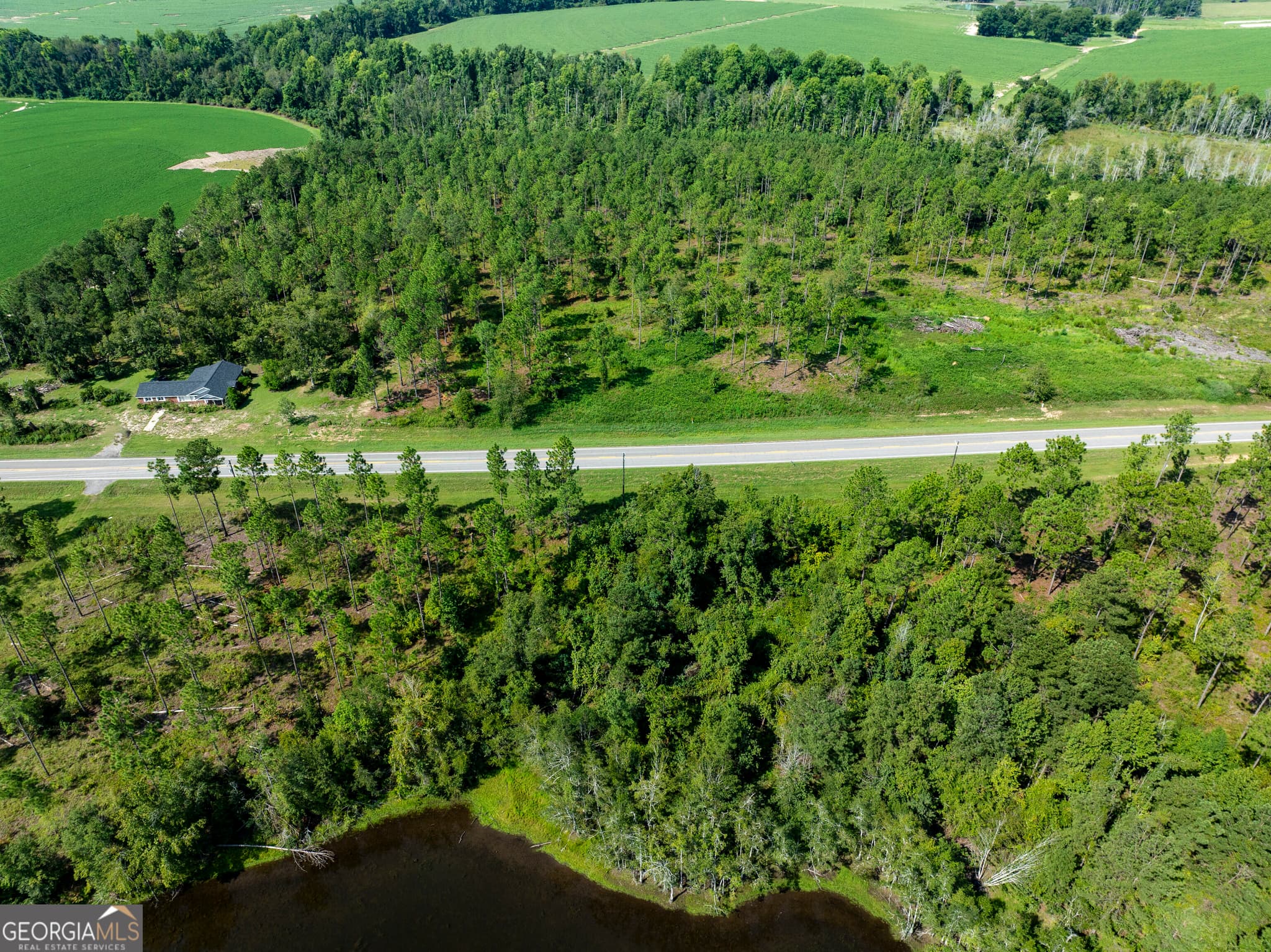 agriculture for sale at 21201 N Hwy 23, Metter, GA 30439 — photo 9