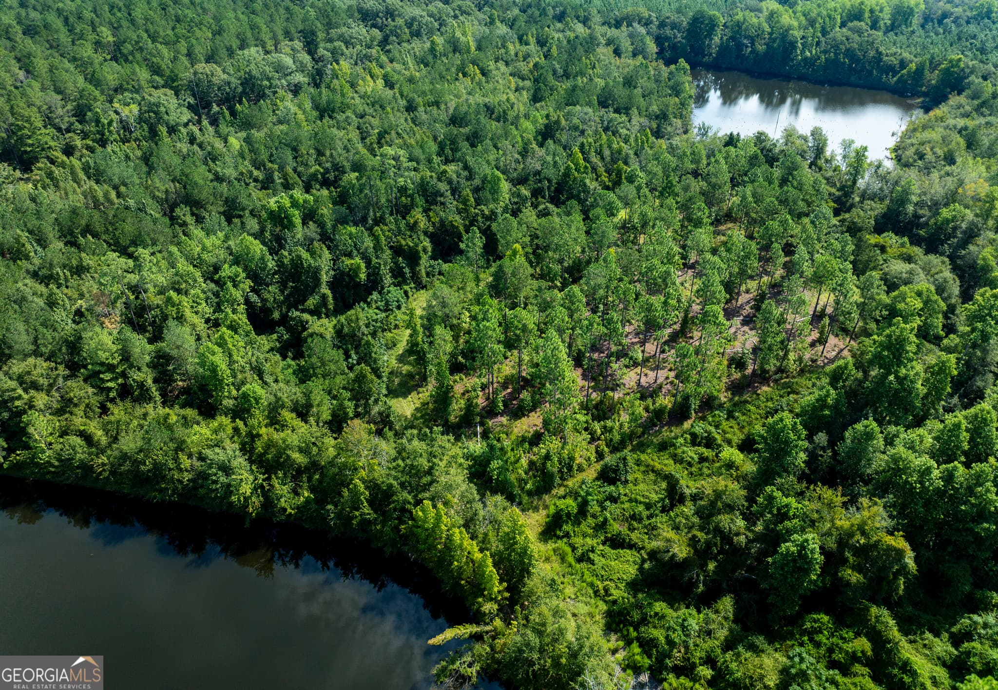 agriculture for sale at 21201 N Hwy 23, Metter, GA 30439 — photo 10