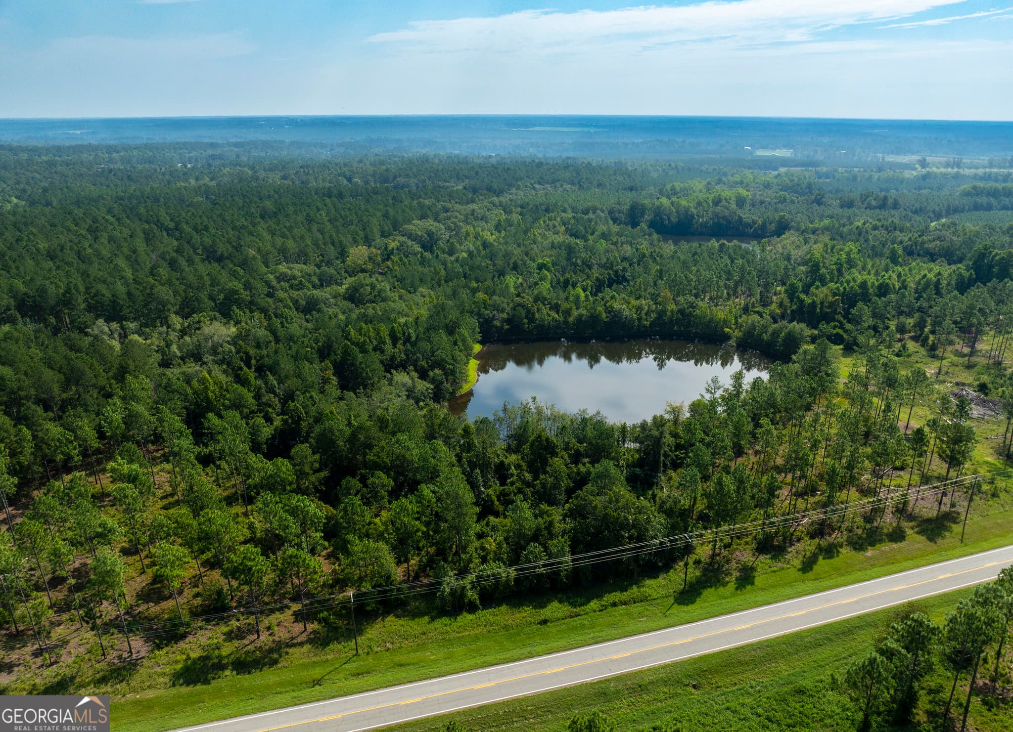 agriculture for sale at 21201 N Hwy 23, Metter, GA 30439 — photo 4