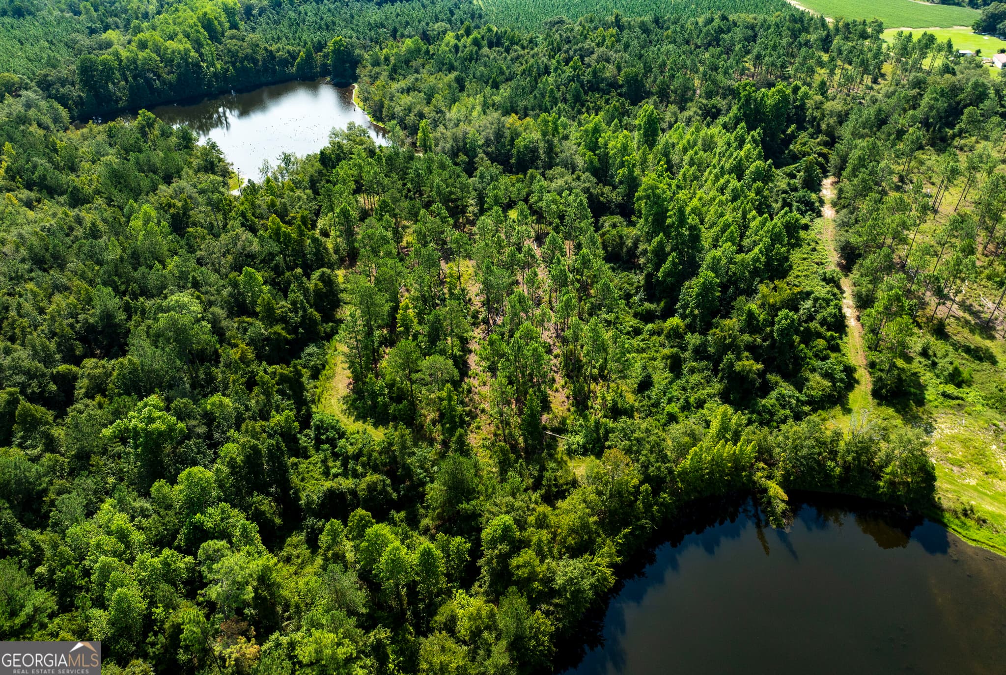 agriculture for sale at 21201 N Hwy 23, Metter, GA 30439 — photo 8