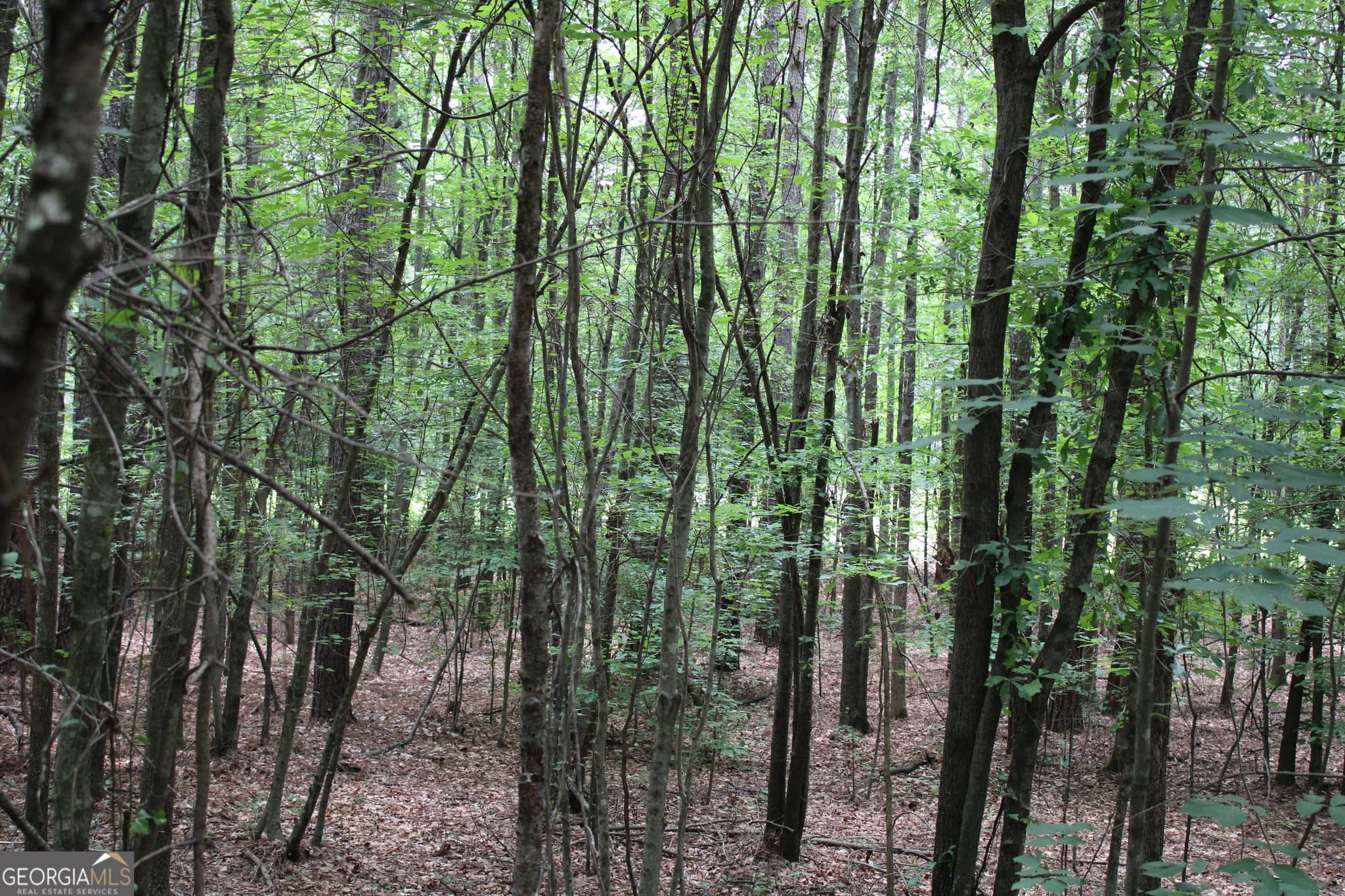 estate lot for sale at 4 Garnett Ward Road, Hull, GA 30646 — photo 6