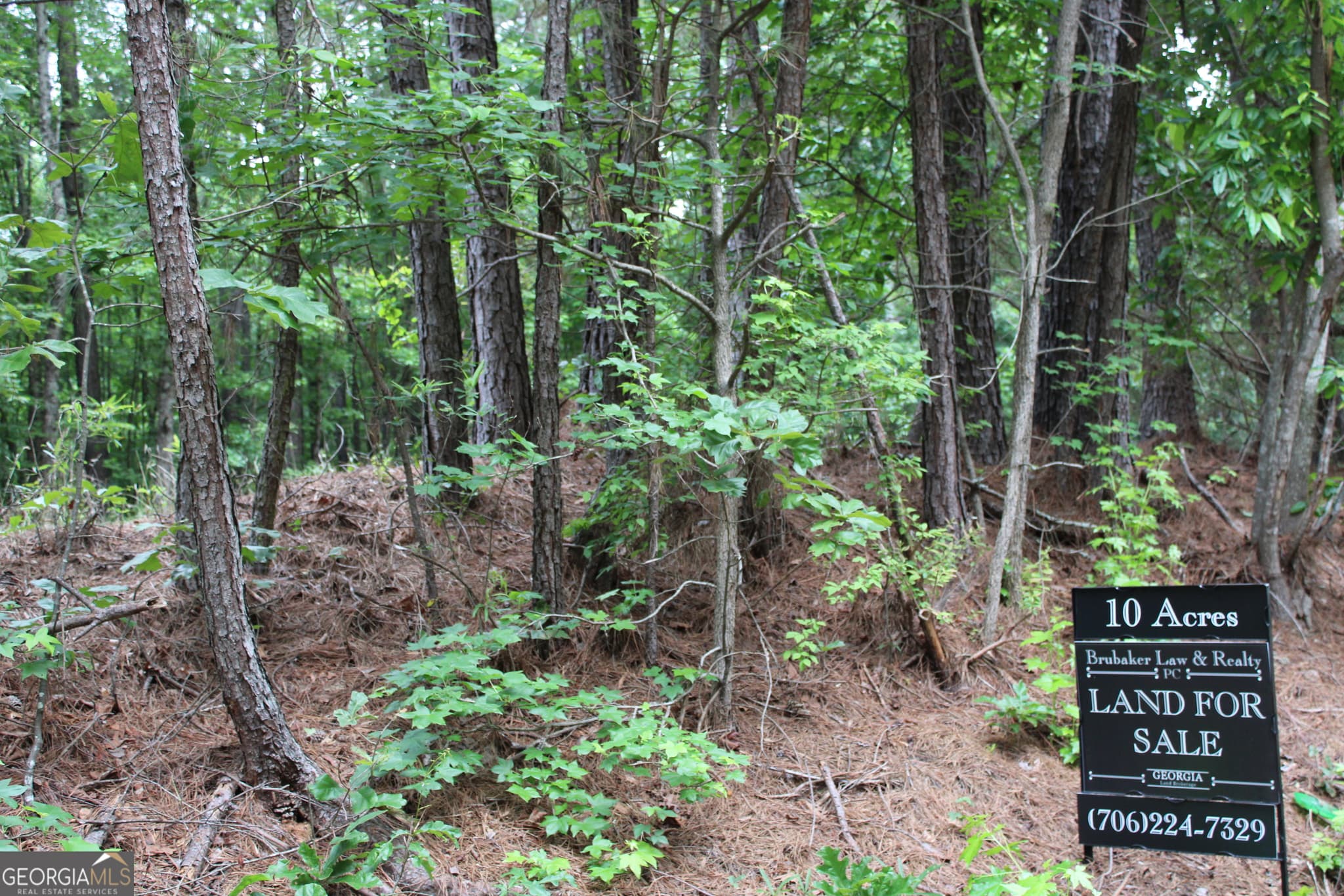 estate lot for sale at 4 Garnett Ward Road, Hull, GA 30646 — photo 7