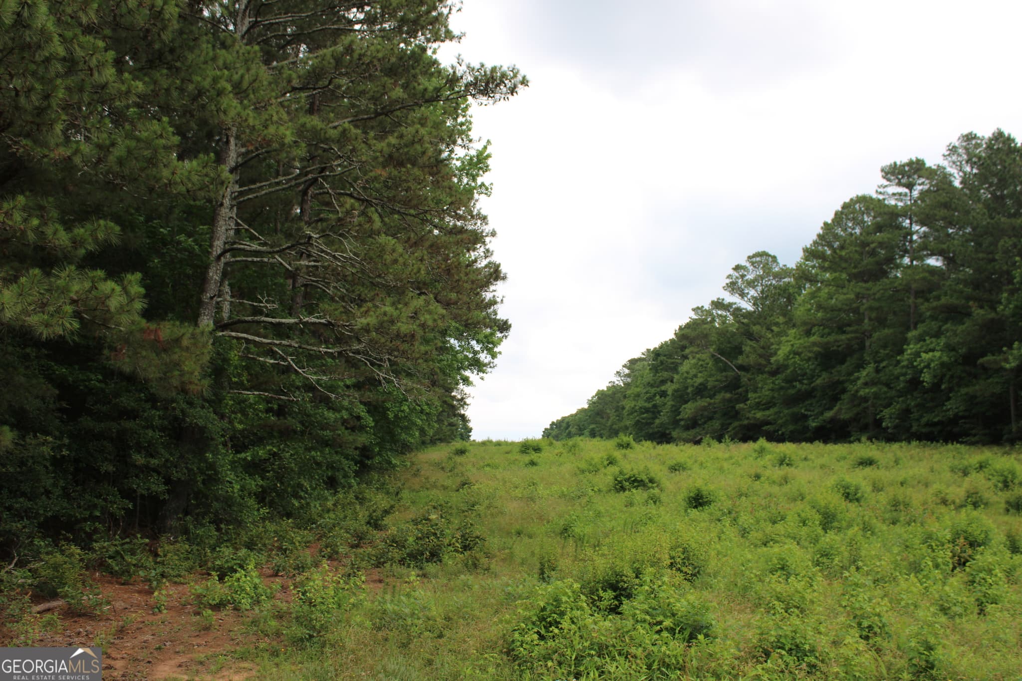 estate lot for sale at 4 Garnett Ward Road, Hull, GA 30646 — photo 1 of 7