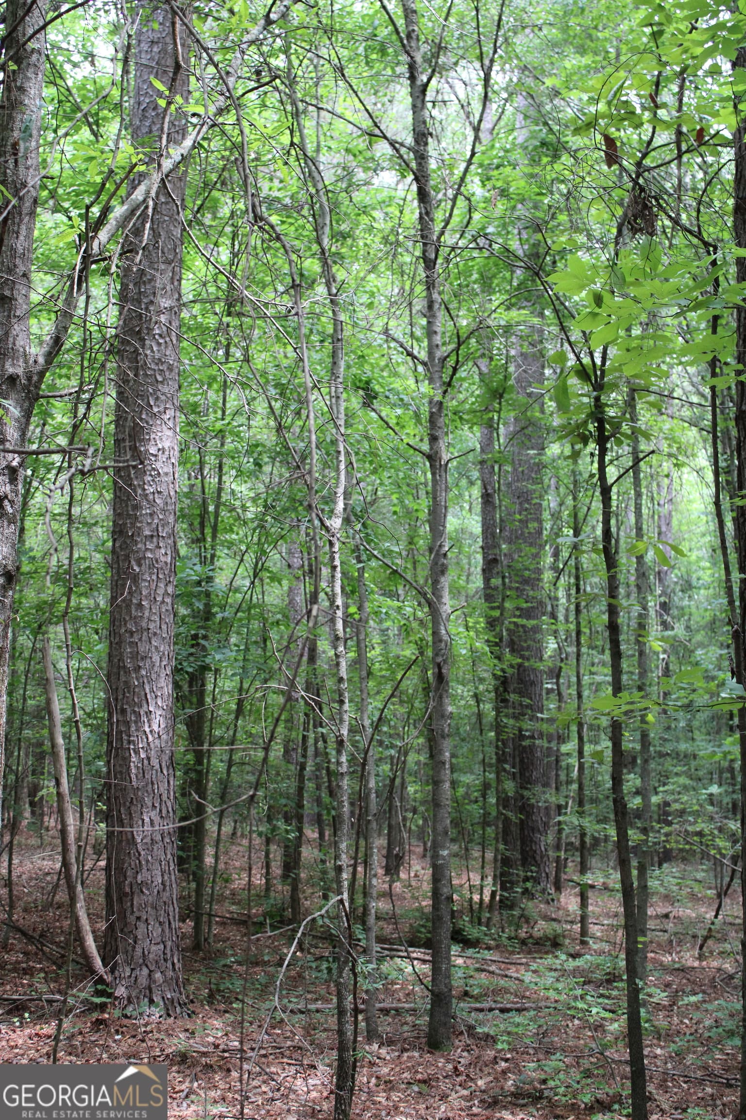 estate lot for sale at 4 Garnett Ward Road, Hull, GA 30646 — photo 5