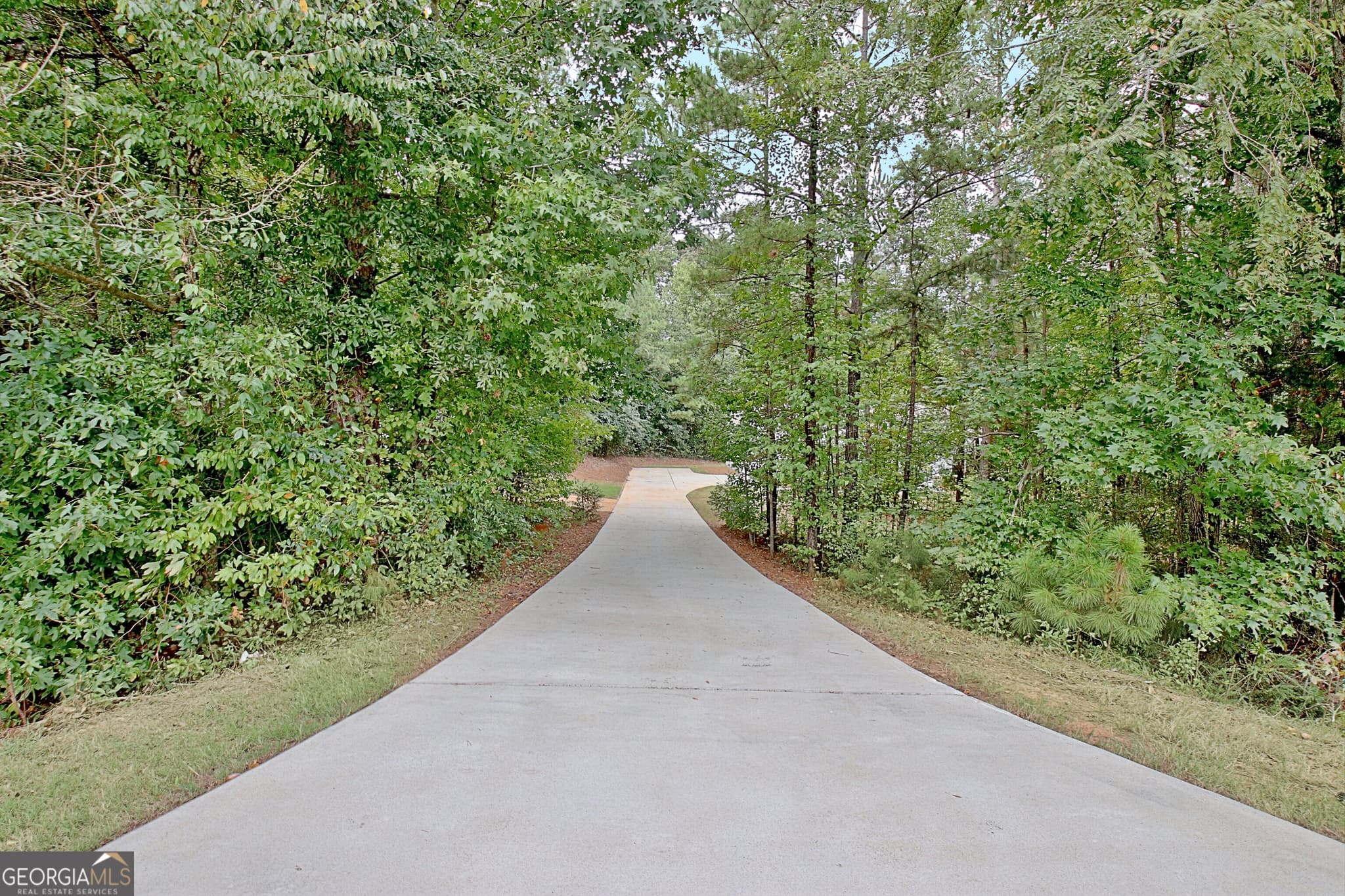 4 bedroom, 3 bathroom, 1,890 sq ft single family residence for sale at 1375 Dolly Nixon Road, Senoia, GA 30276 — photo 2