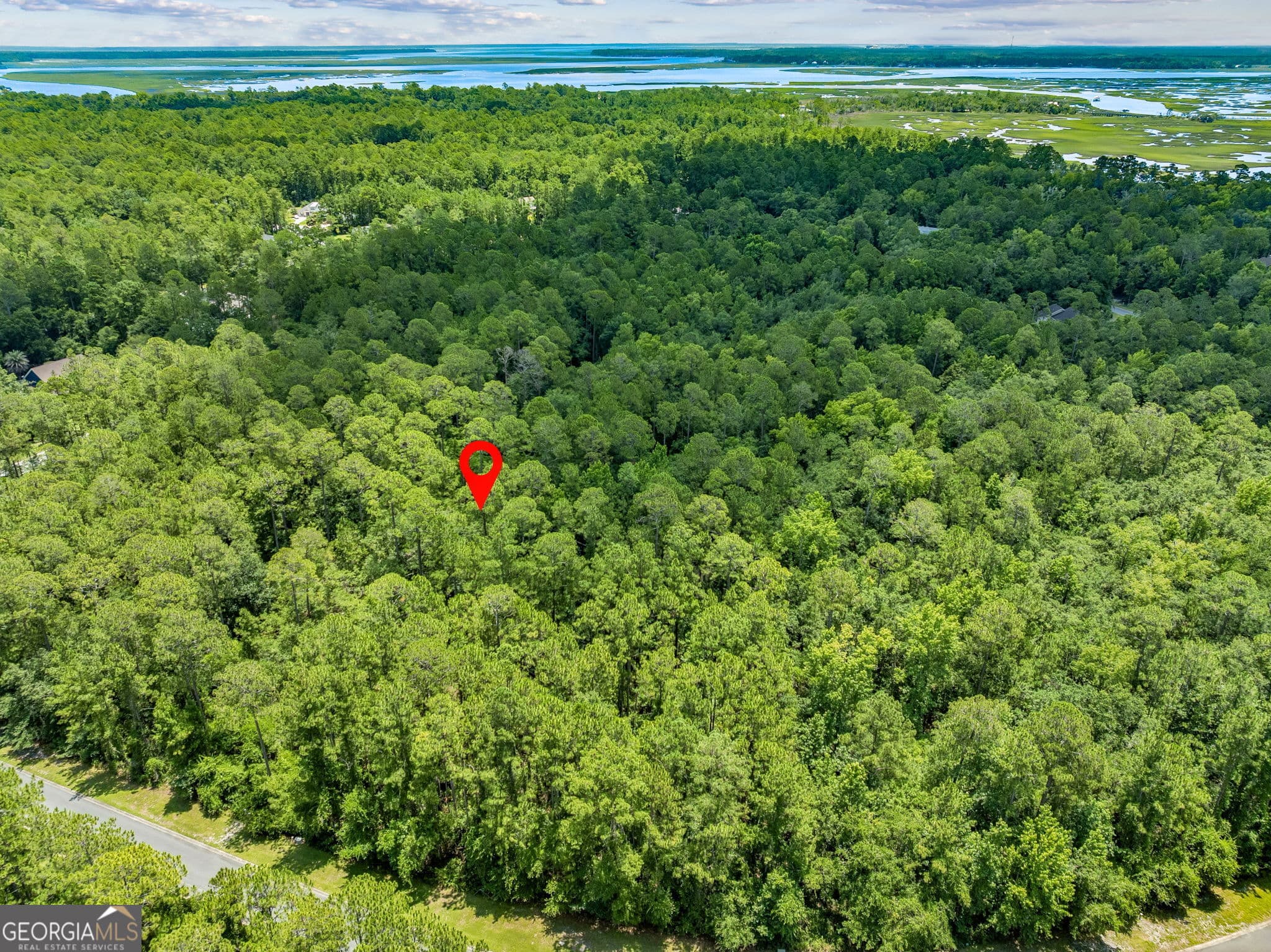 residential lot for sale at V/L 18 Lighthouse Circle, Woodbine, GA 31569 — photo 6
