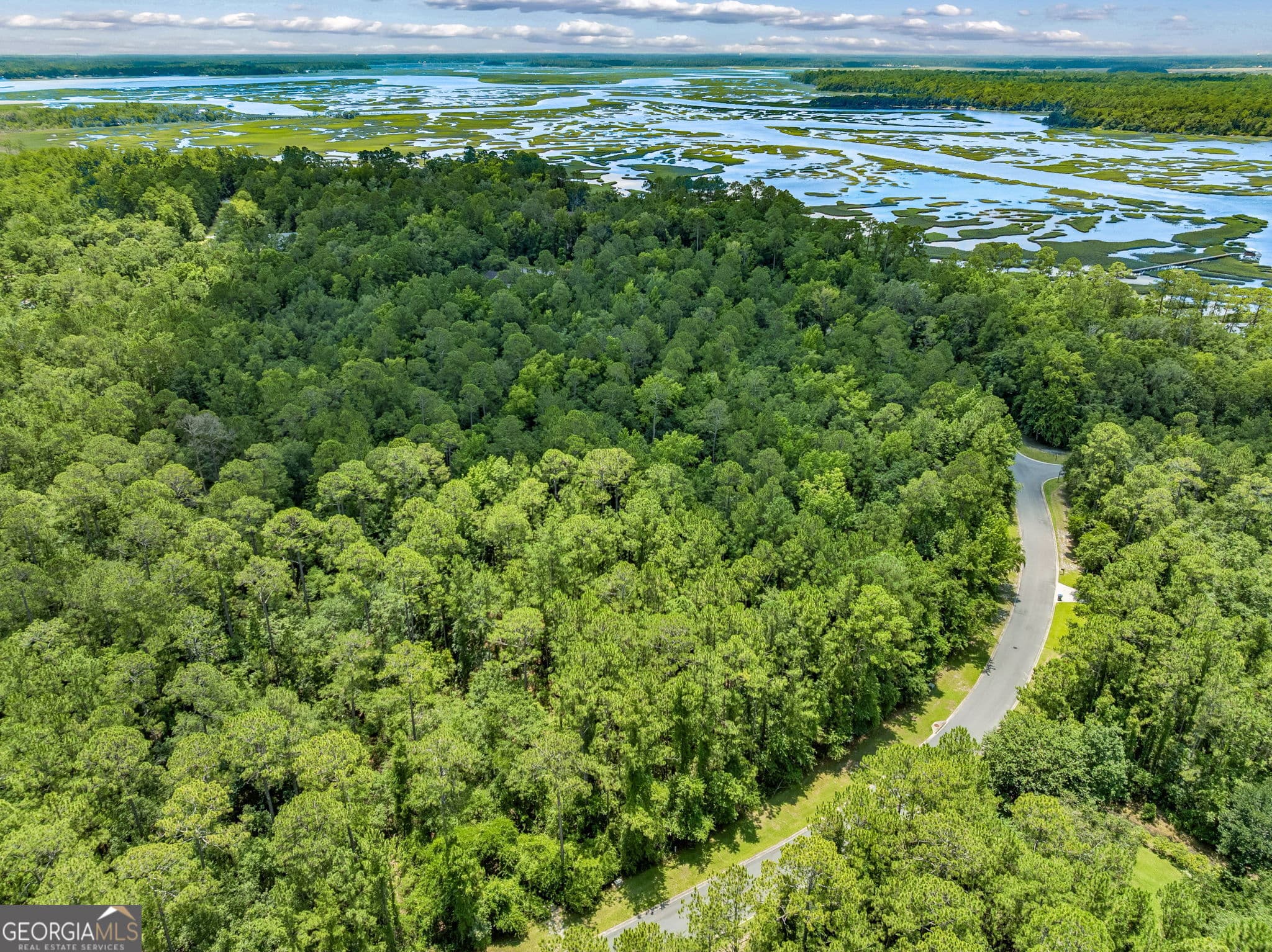 residential lot for sale at V/L 18 Lighthouse Circle, Woodbine, GA 31569 — photo 7