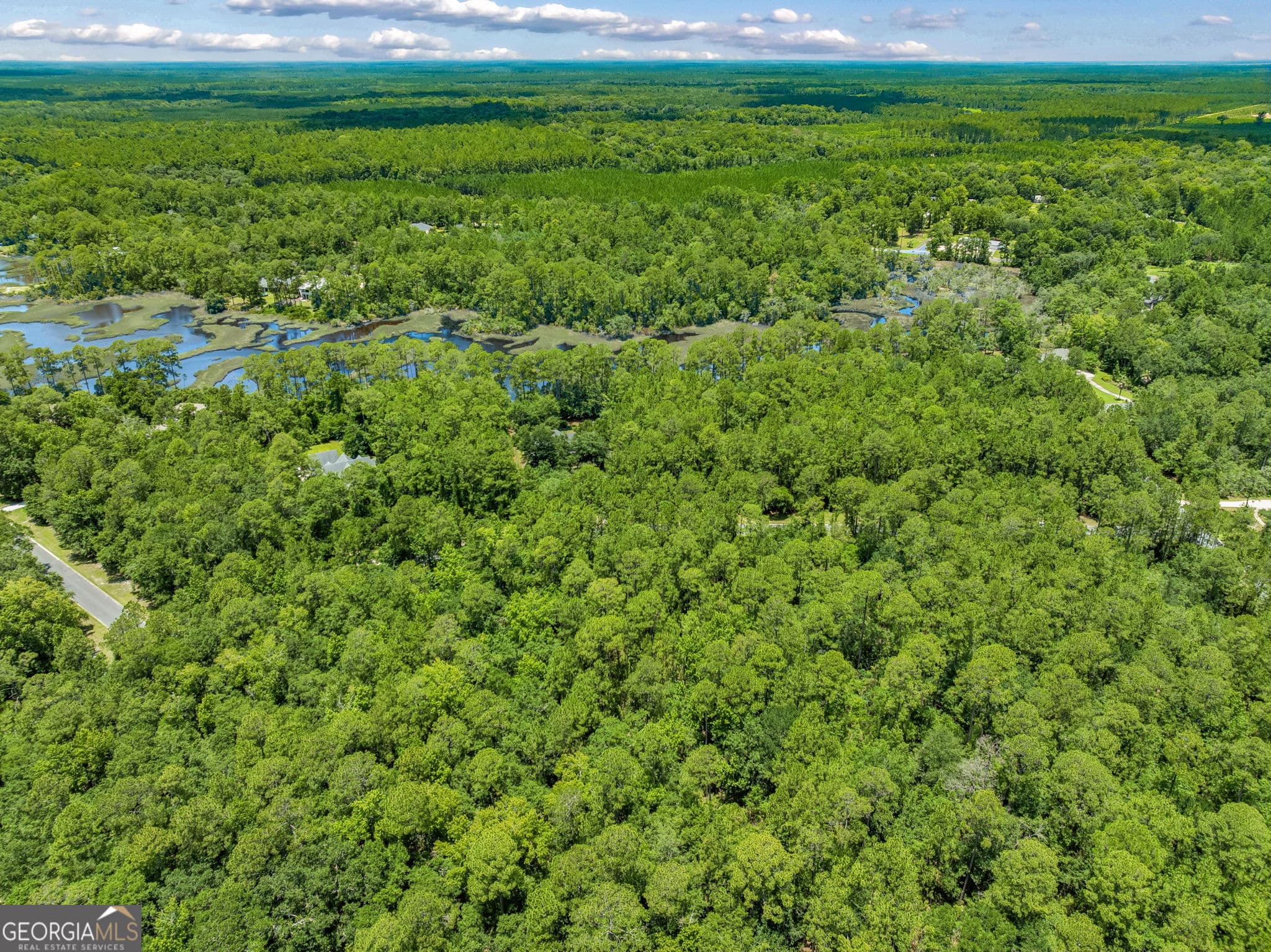 residential lot for sale at V/L 18 Lighthouse Circle, Woodbine, GA 31569 — photo 9