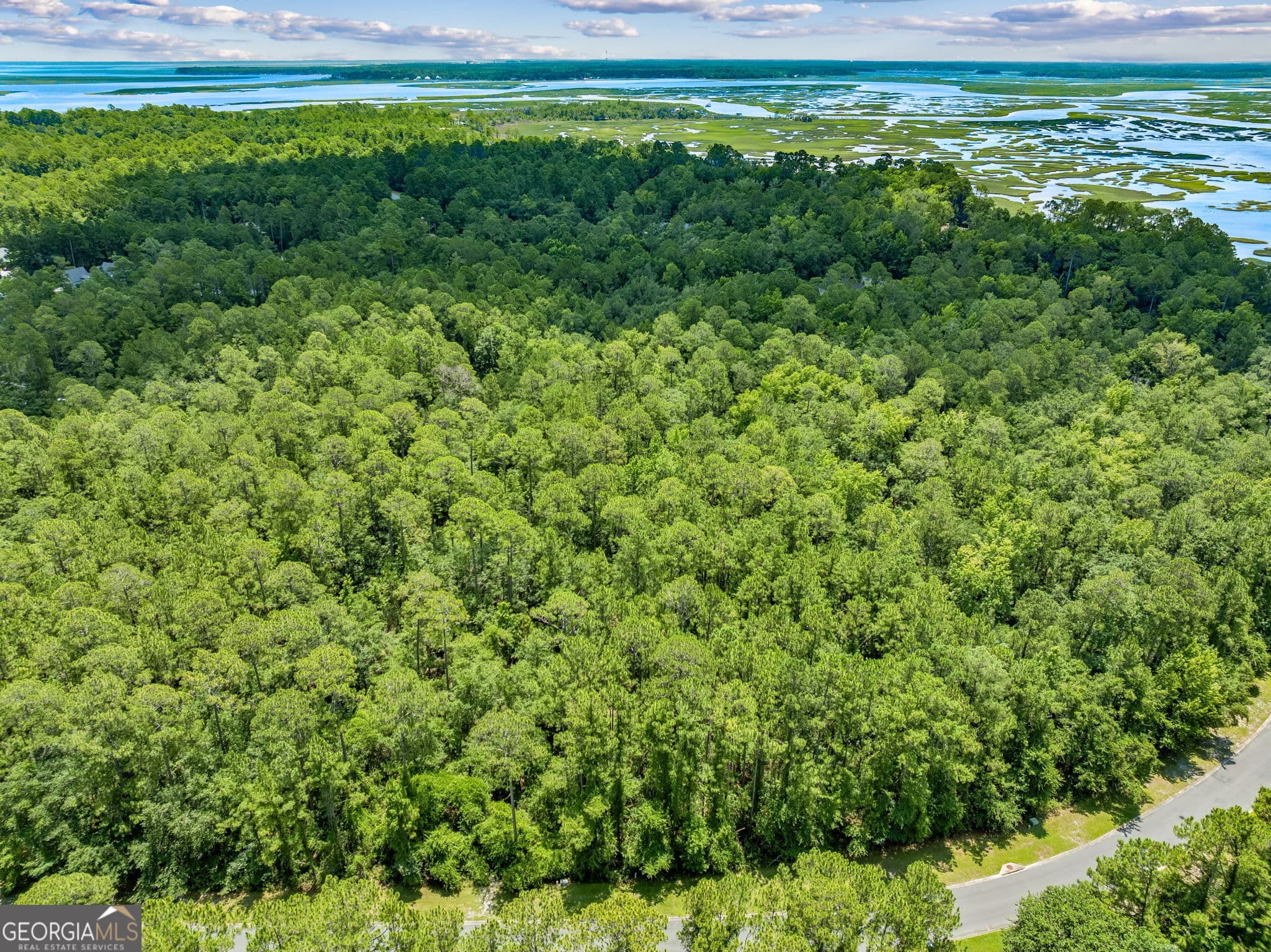 residential lot for sale at V/L 18 Lighthouse Circle, Woodbine, GA 31569 — photo 4