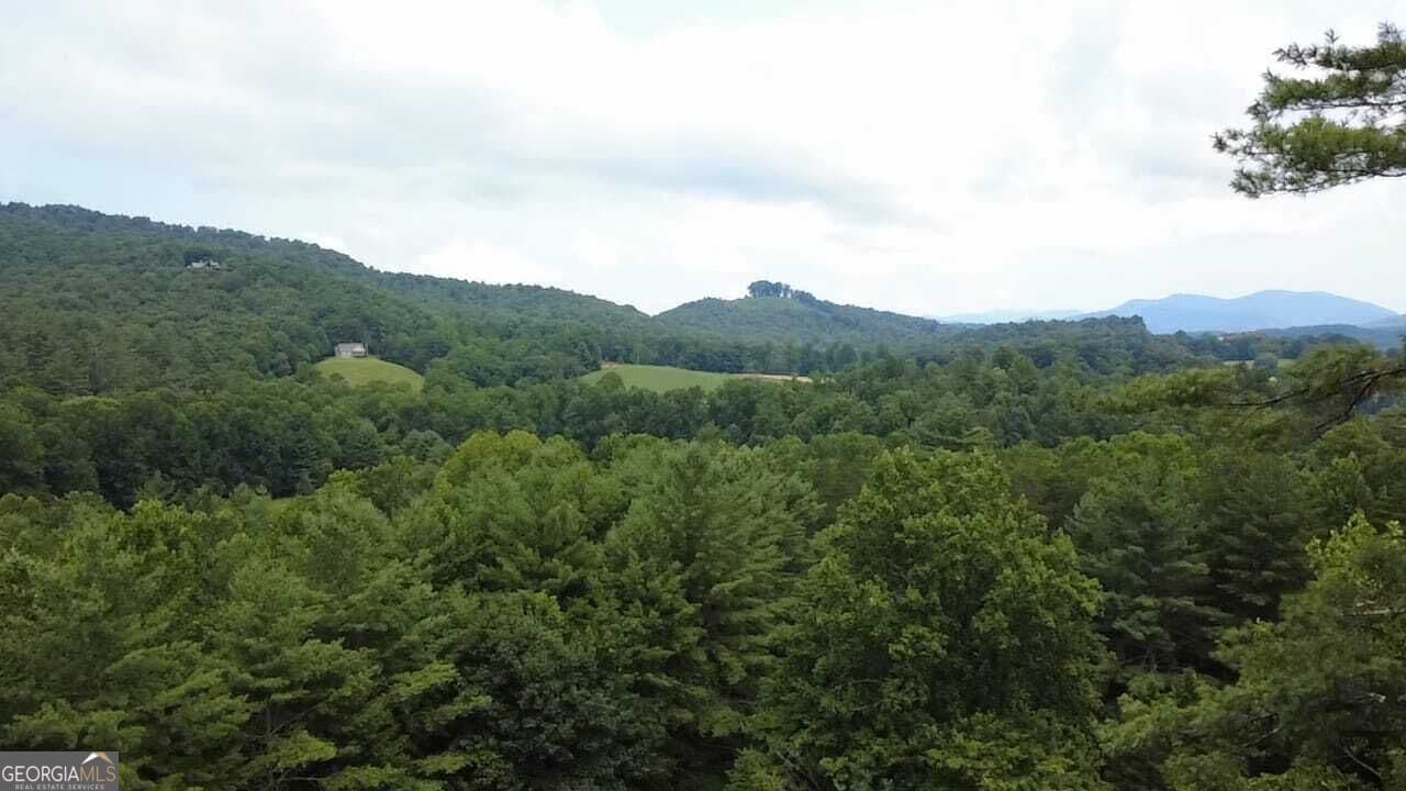 3 bedroom, 2 bathroom, 2,126 sq ft single family residence for sale at 158 Earney Road, Blairsville, GA 30512 — photo 4