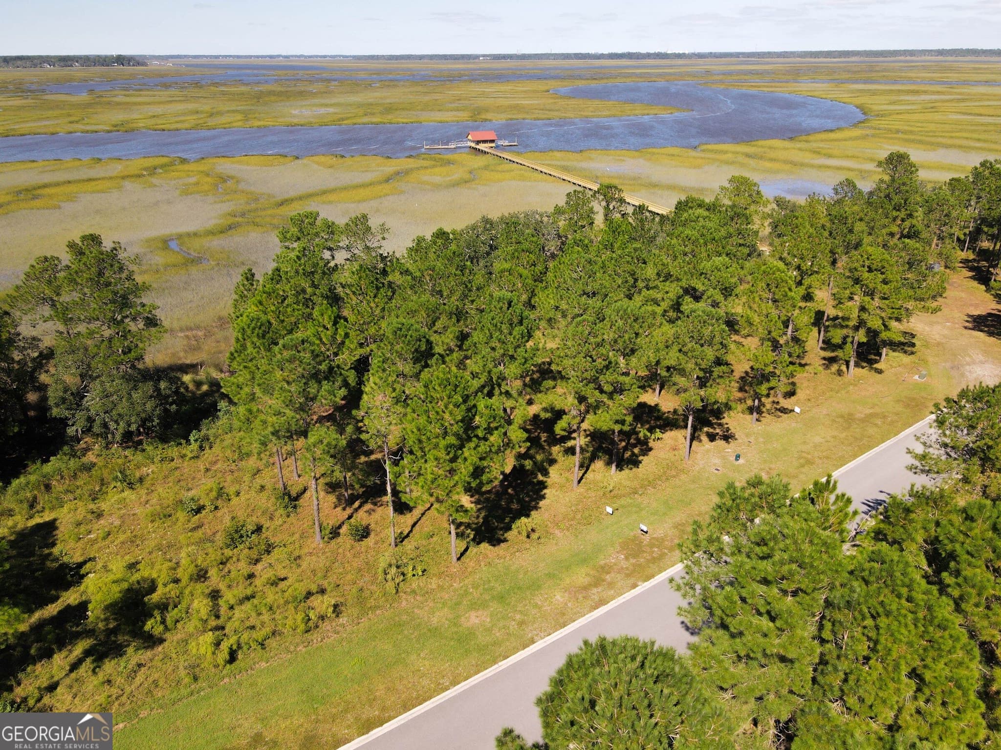 unimproved land for sale at 0 Wards Way LOT 108, Waverly, GA 31565 — photo 6