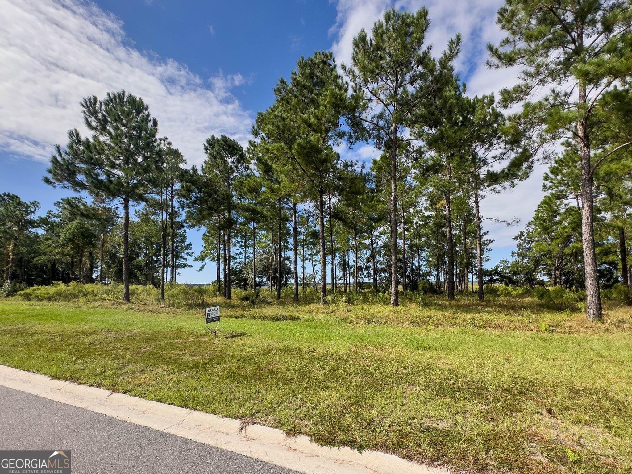 unimproved land for sale at 0 Wards Way LOT 108, Waverly, GA 31565 — photo 7