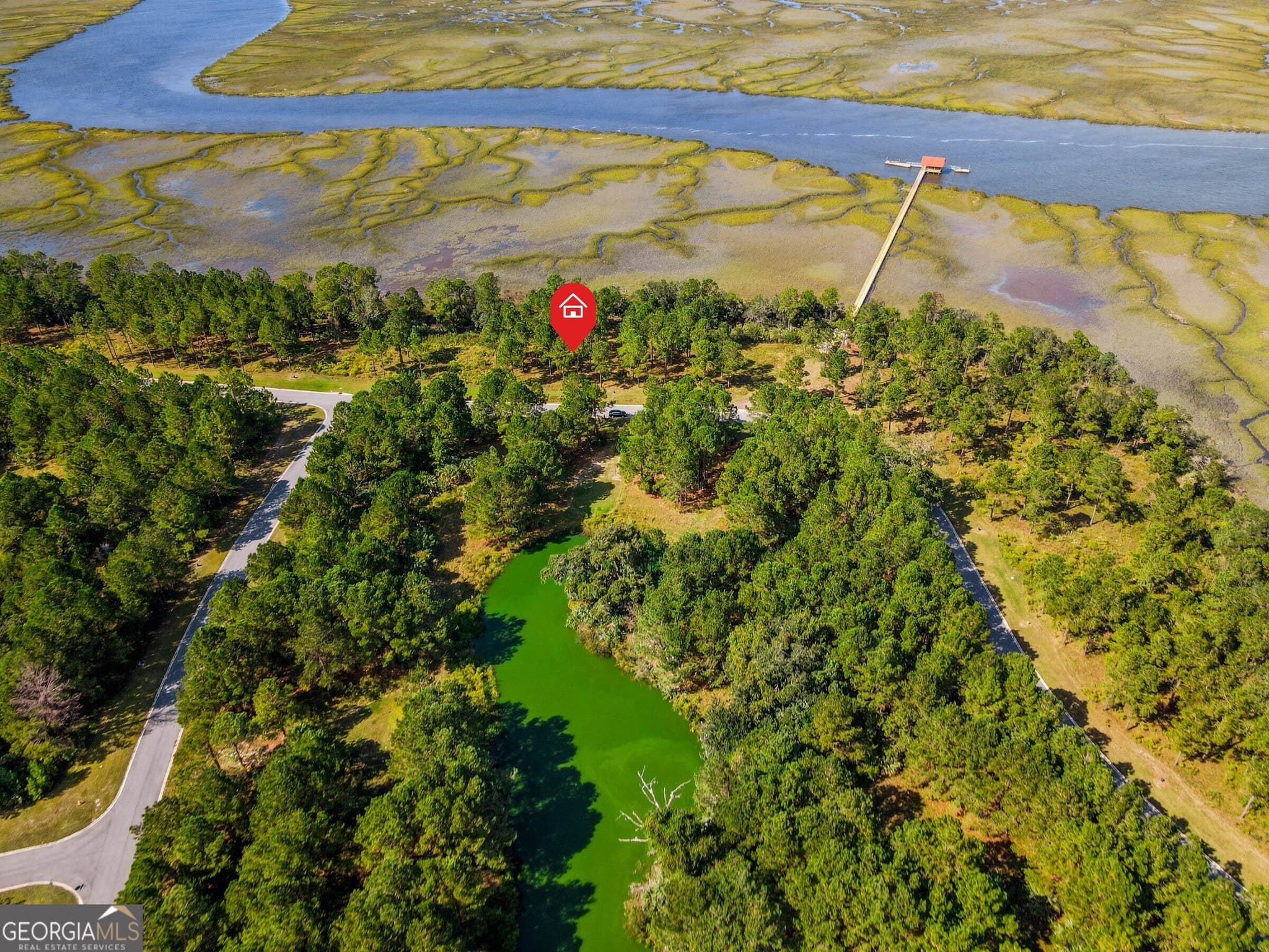 unimproved land for sale at 0 Wards Way LOT 108, Waverly, GA 31565 — photo 3