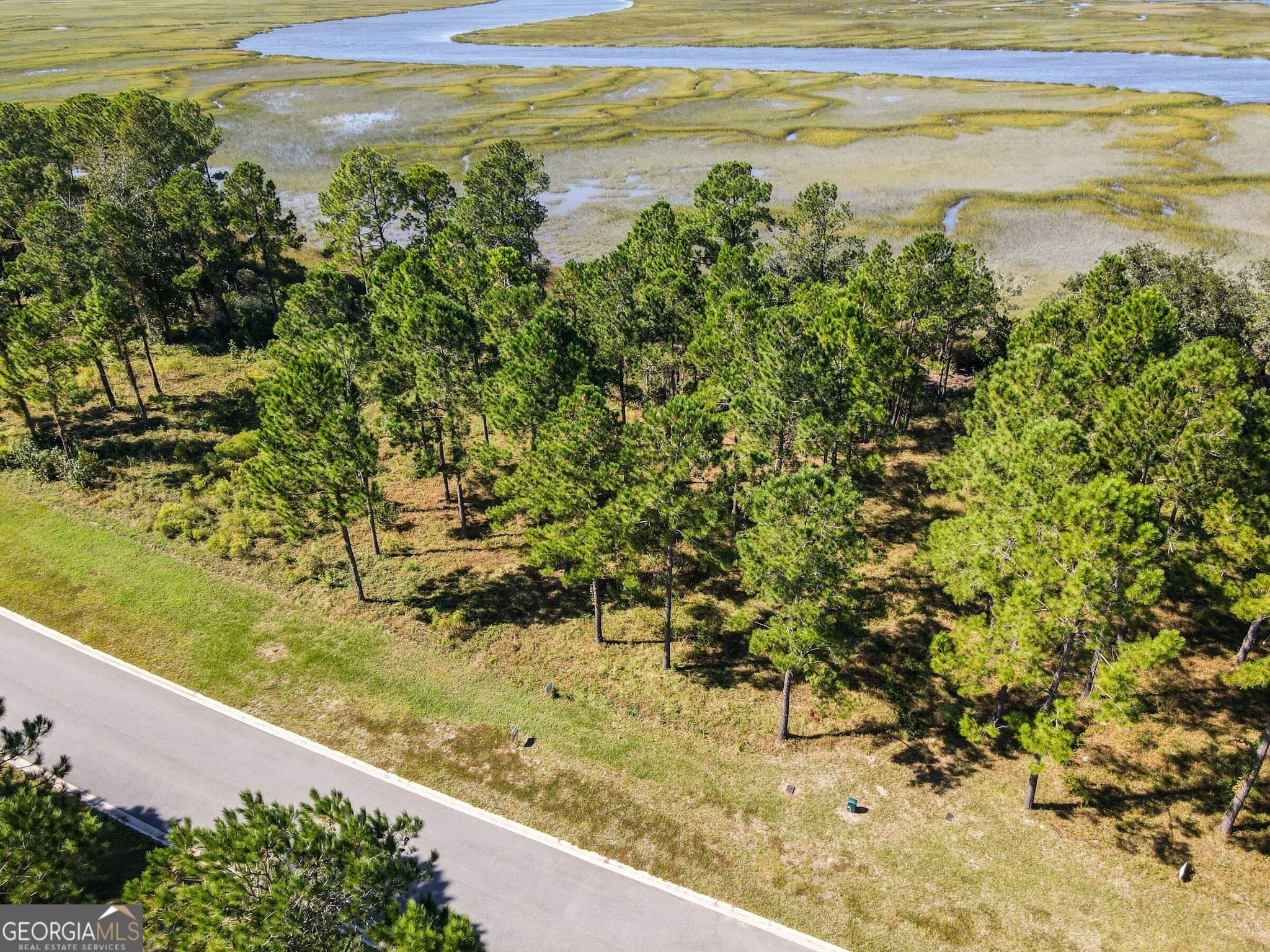 unimproved land for sale at 0 Wards Way LOT 108, Waverly, GA 31565 — photo 5