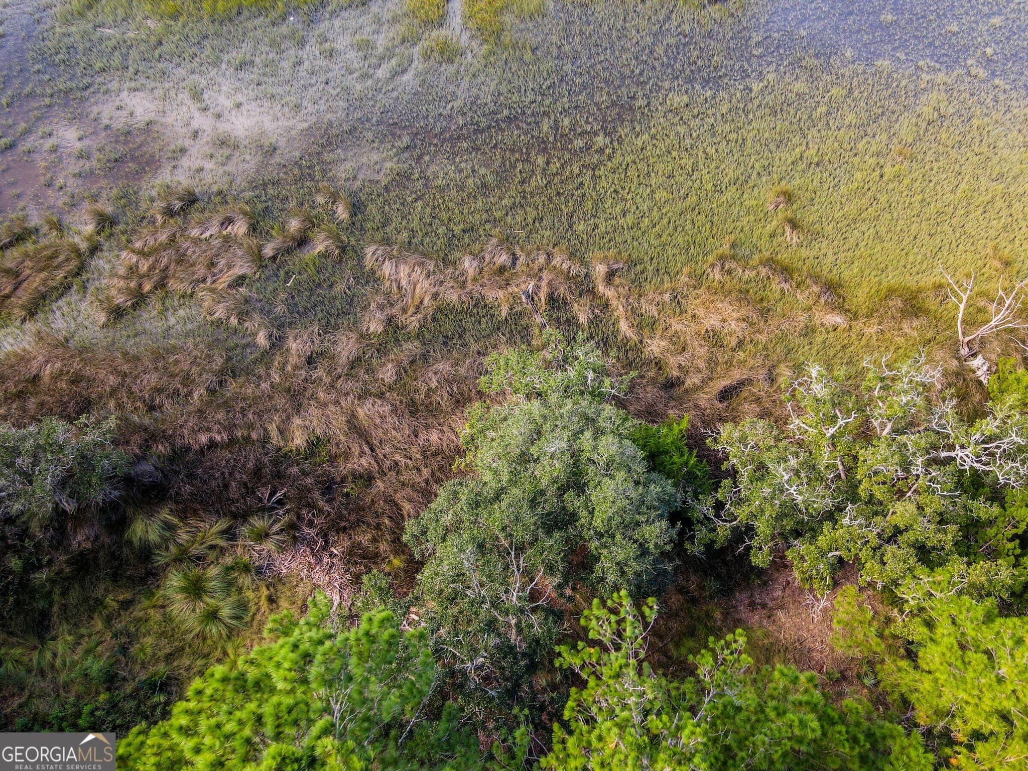 unimproved land for sale at 0 Wards Way LOT 108, Waverly, GA 31565 — photo 9