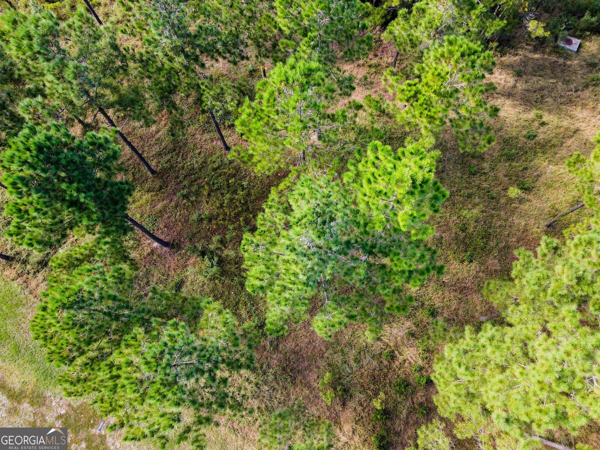 unimproved land for sale at 0 Wards Way LOT 108, Waverly, GA 31565 — photo 8