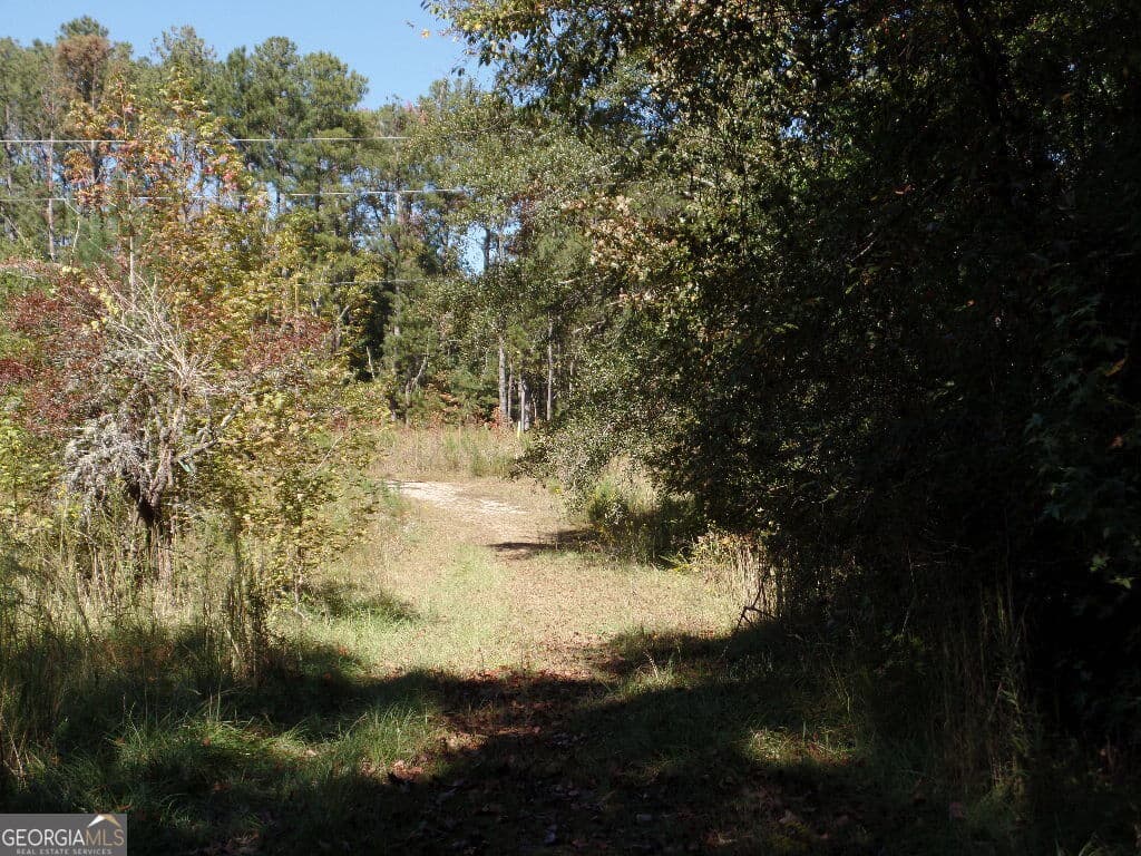 residential lot for sale at 8.37 AC Dixon Rd, Newnan, GA 30263 — photo 2