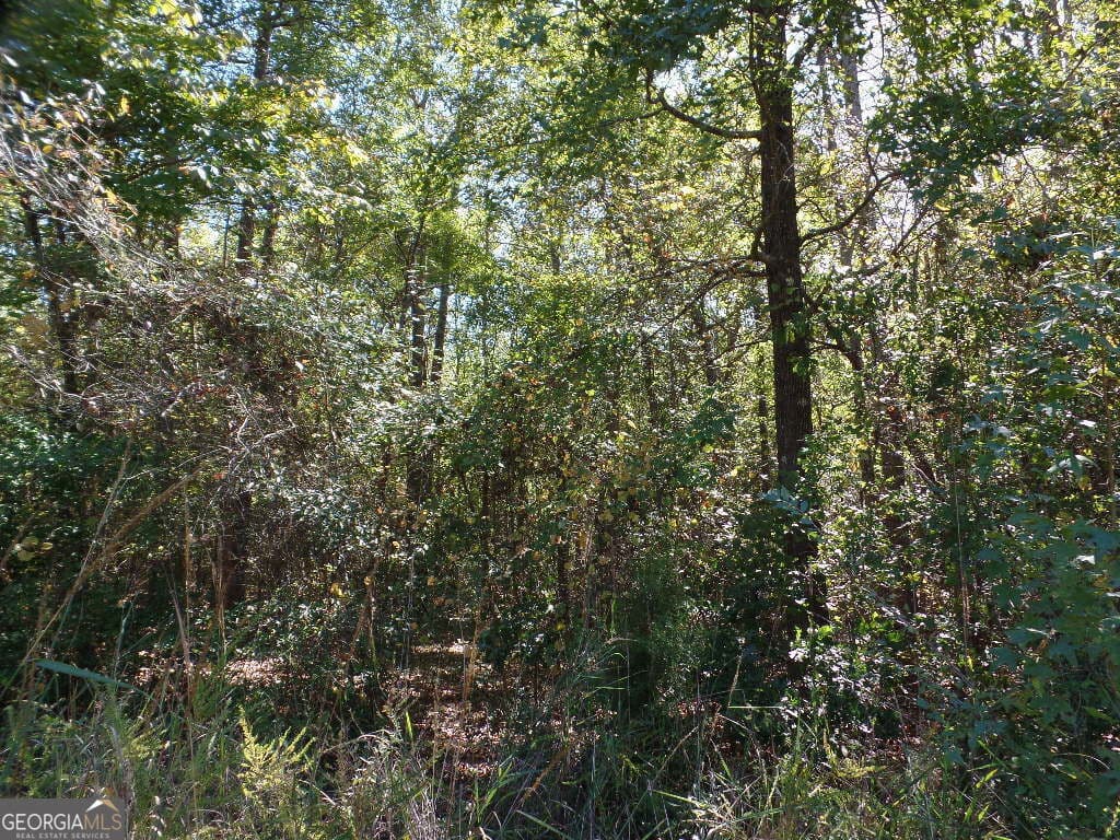 residential lot for sale at 8.37 AC Dixon Rd, Newnan, GA 30263 — photo 6