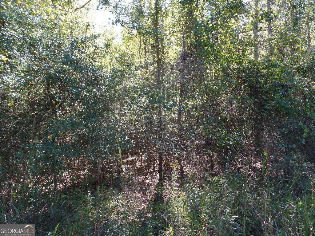 residential lot for sale at 8.37 AC Dixon Rd, Newnan, GA 30263 — photo 7