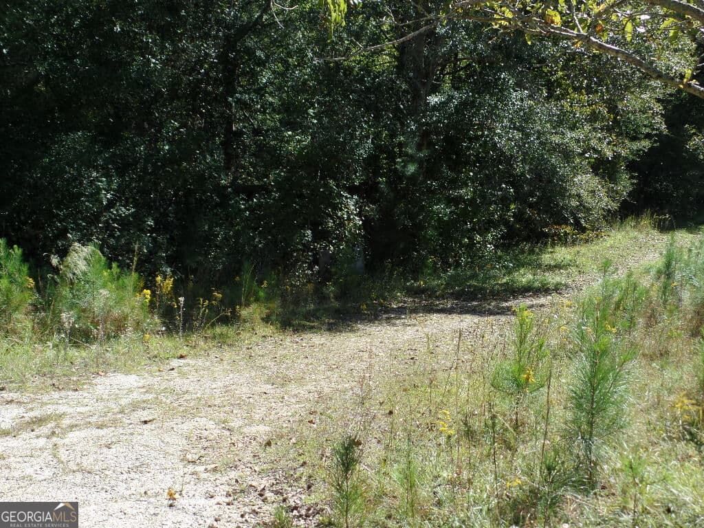 residential lot for sale at 8.37 AC Dixon Rd, Newnan, GA 30263 — photo 3