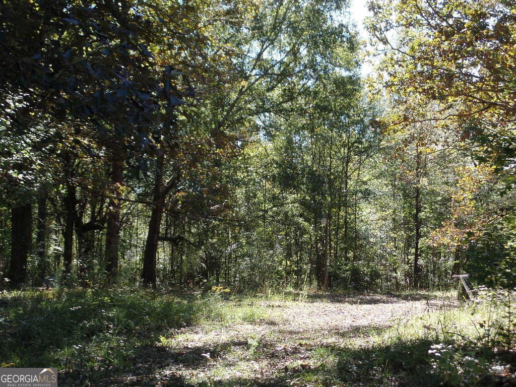 residential lot for sale at 8.37 AC Dixon Rd, Newnan, GA 30263 — photo 1 of 30