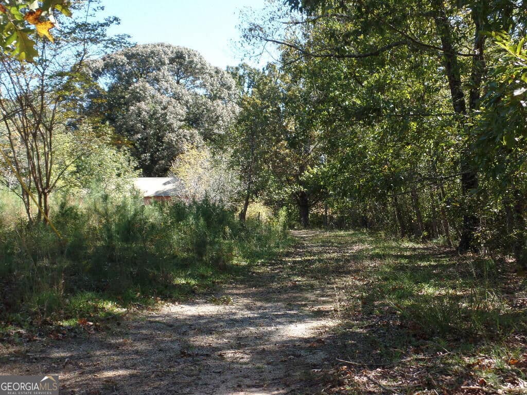 residential lot for sale at 8.37 AC Dixon Rd, Newnan, GA 30263 — photo 5