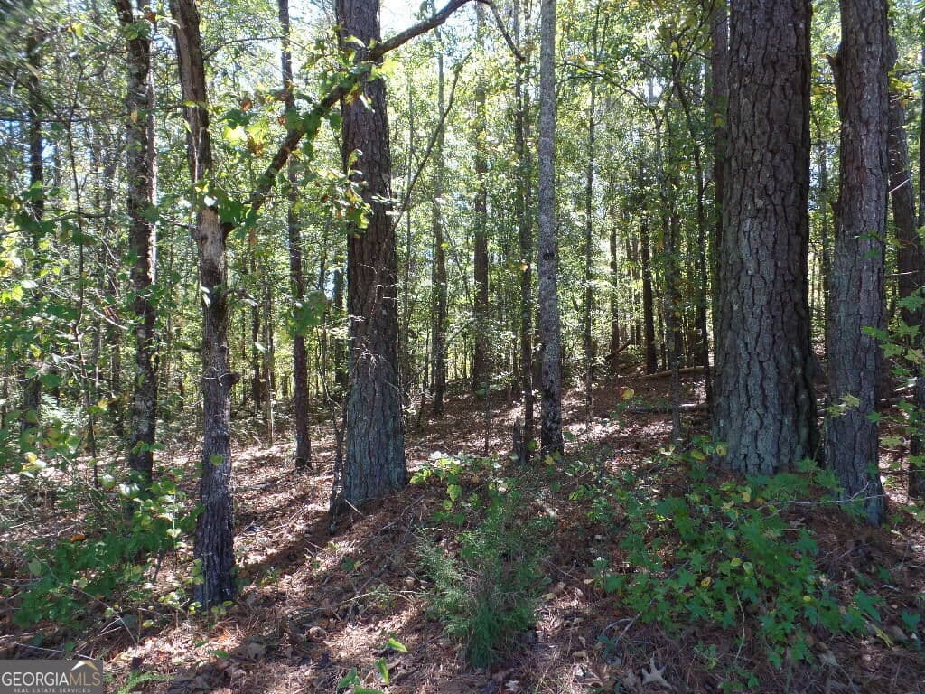 residential lot for sale at 8.37 AC Dixon Rd, Newnan, GA 30263 — photo 9