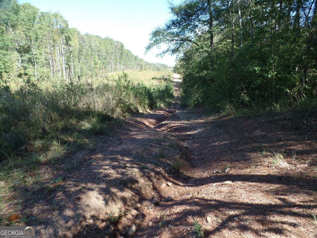residential lot for sale at 8.37 AC Dixon Rd, Newnan, GA 30263 — photo 10