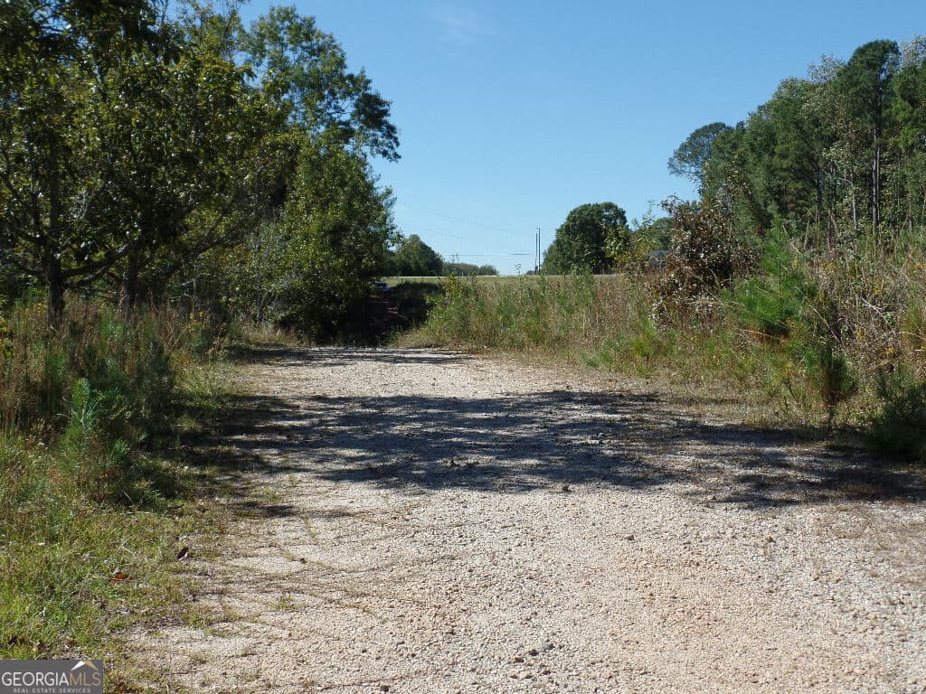 residential lot for sale at 8.37 AC Dixon Rd, Newnan, GA 30263 — photo 4