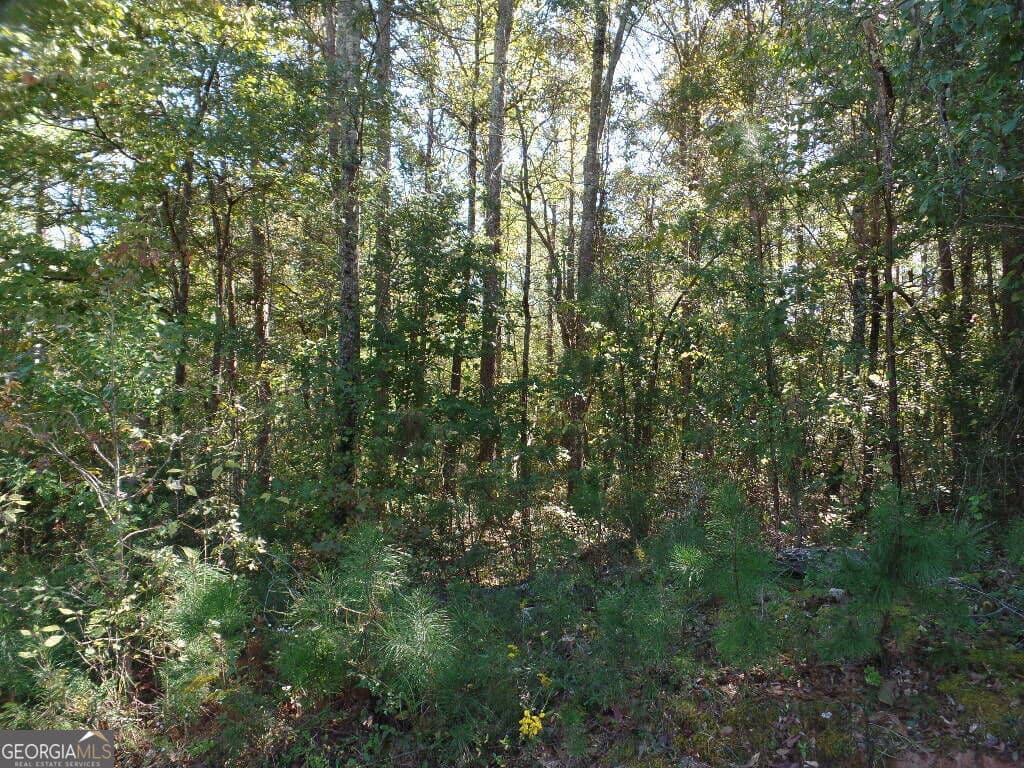 residential lot for sale at 8.37 AC Dixon Rd, Newnan, GA 30263 — photo 8