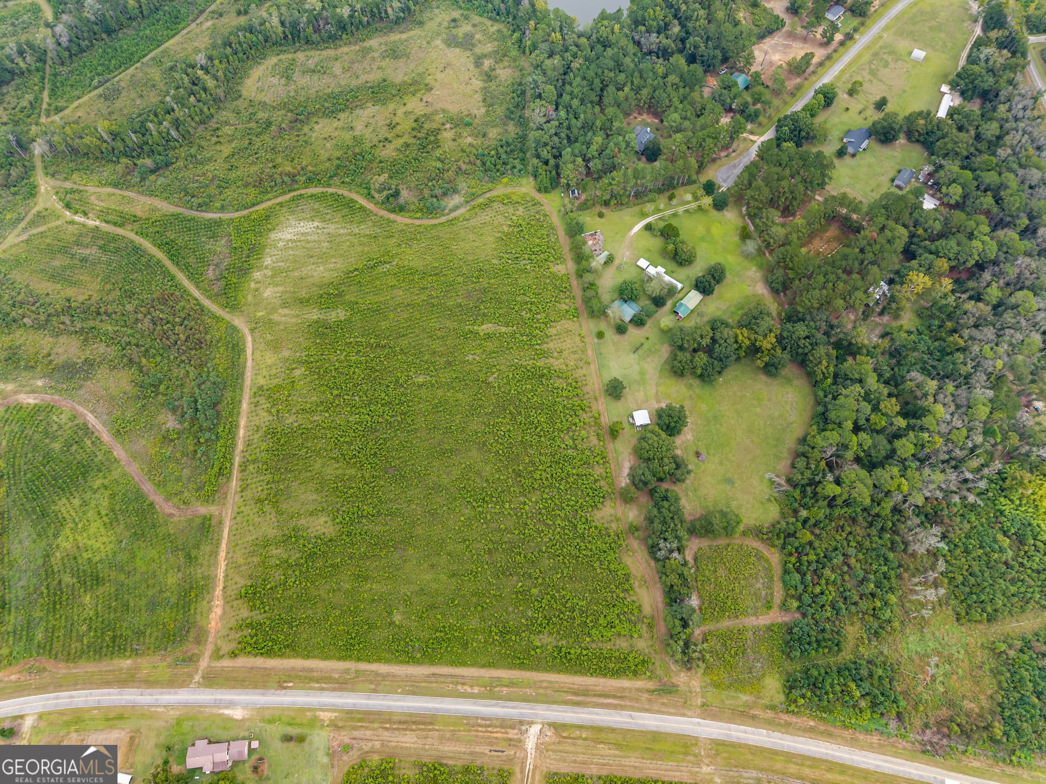 estate lot for sale at 0 G W Oliver Road LOT 4, Statesboro, GA 30458 — photo 3