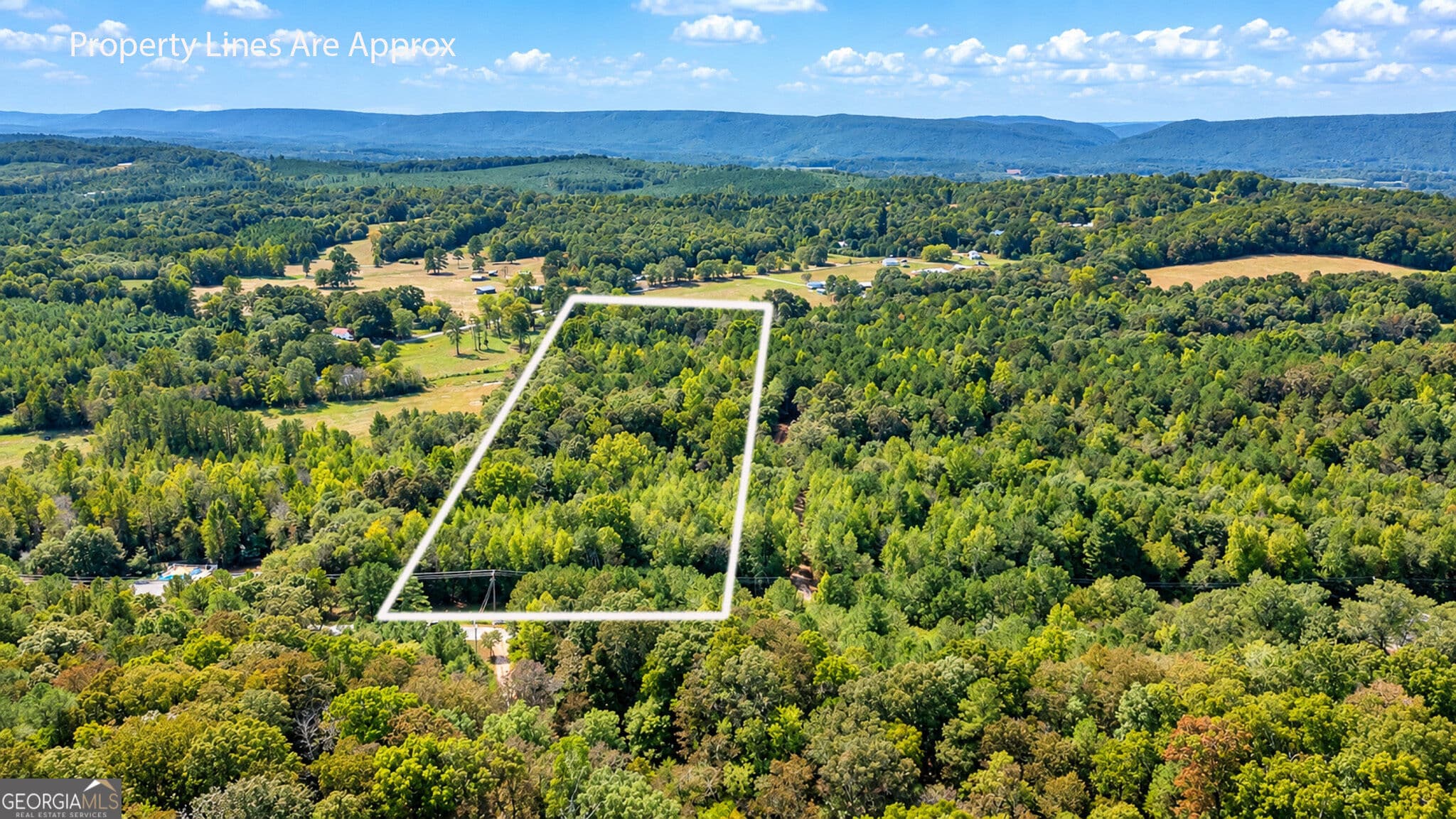unimproved land for sale at 0 Ridgeway Road, Trion, GA 30753 — photo 2