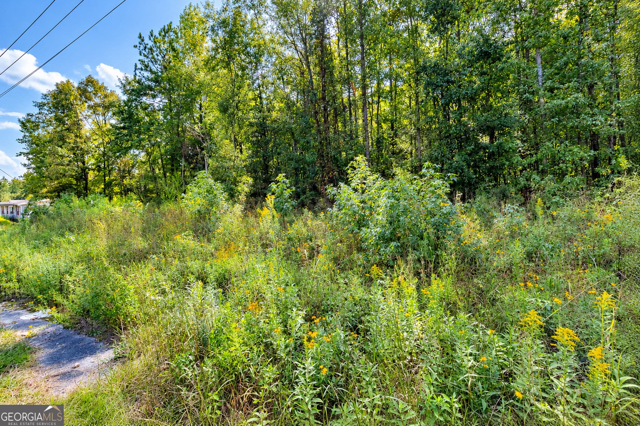 unimproved land for sale at 0 Ridgeway Road, Trion, GA 30753 — photo 7