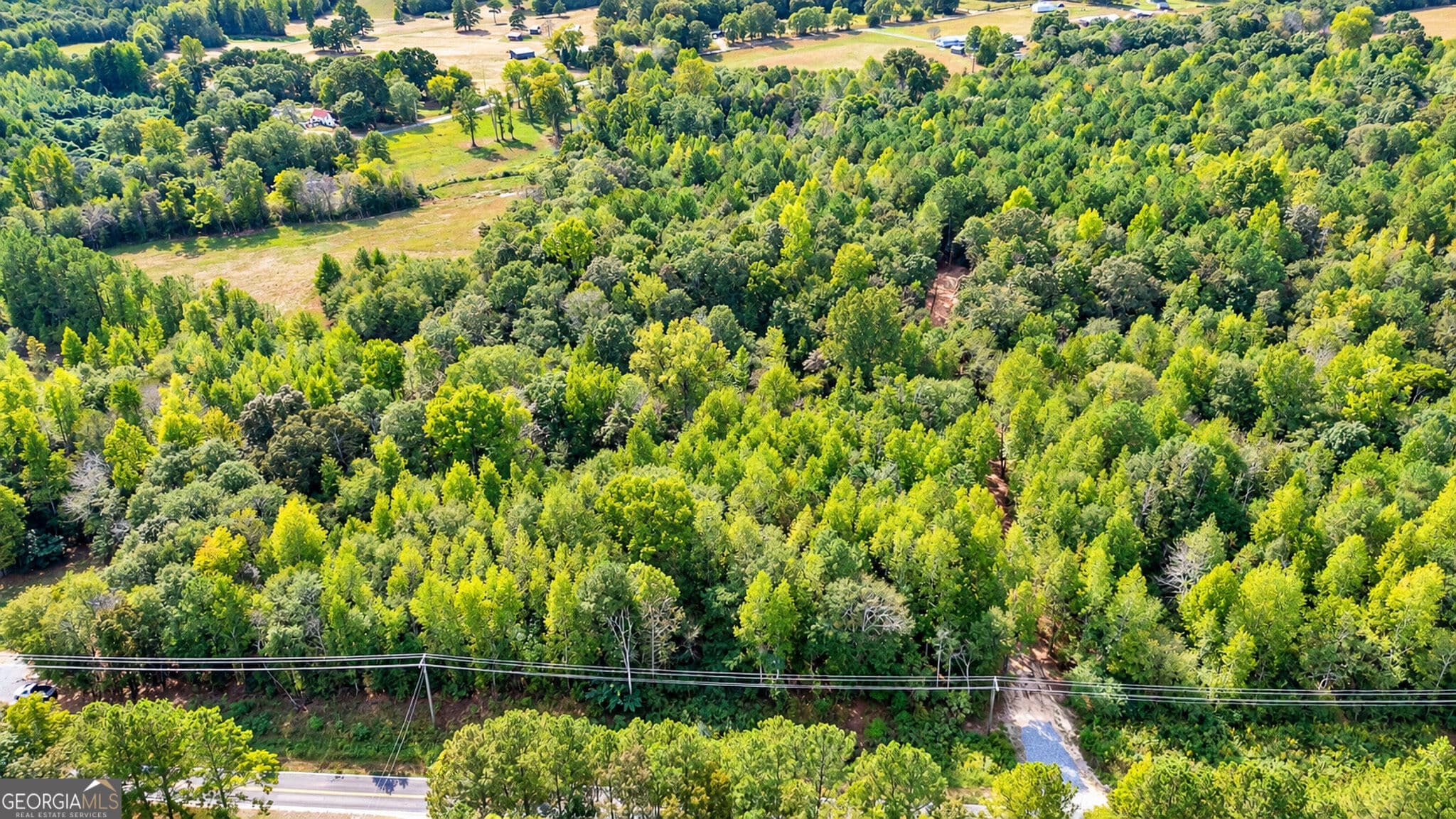 unimproved land for sale at 0 Ridgeway Road, Trion, GA 30753 — photo 4
