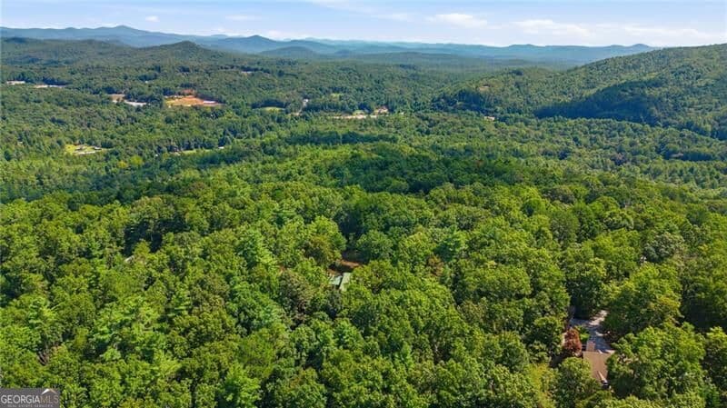residential lot for sale at 0 Brenary Drive, Lakemont, GA 30552 — photo 2